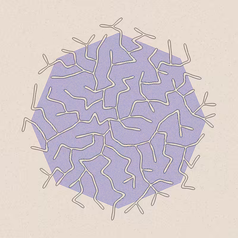 Burrow #6