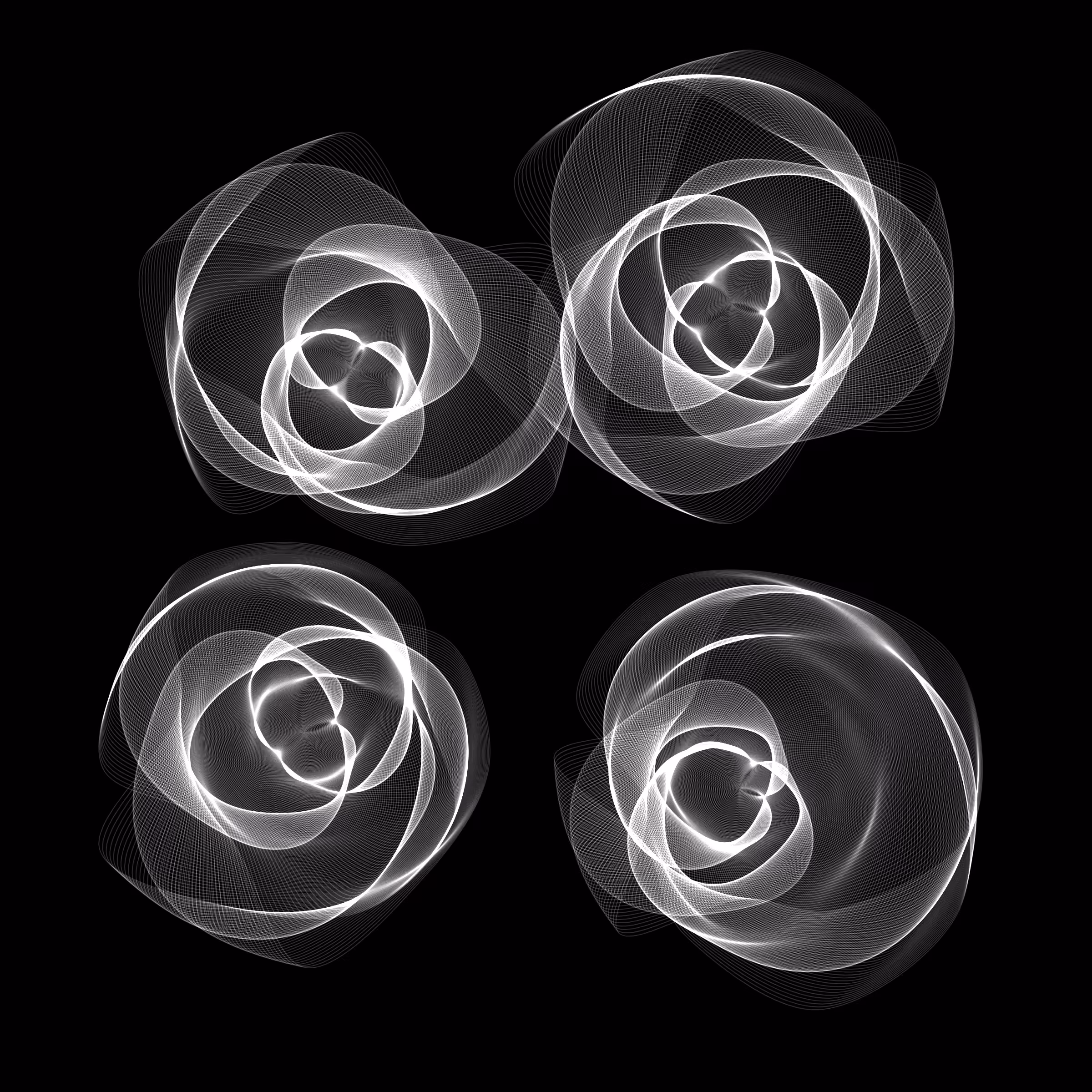 Flowers #1443