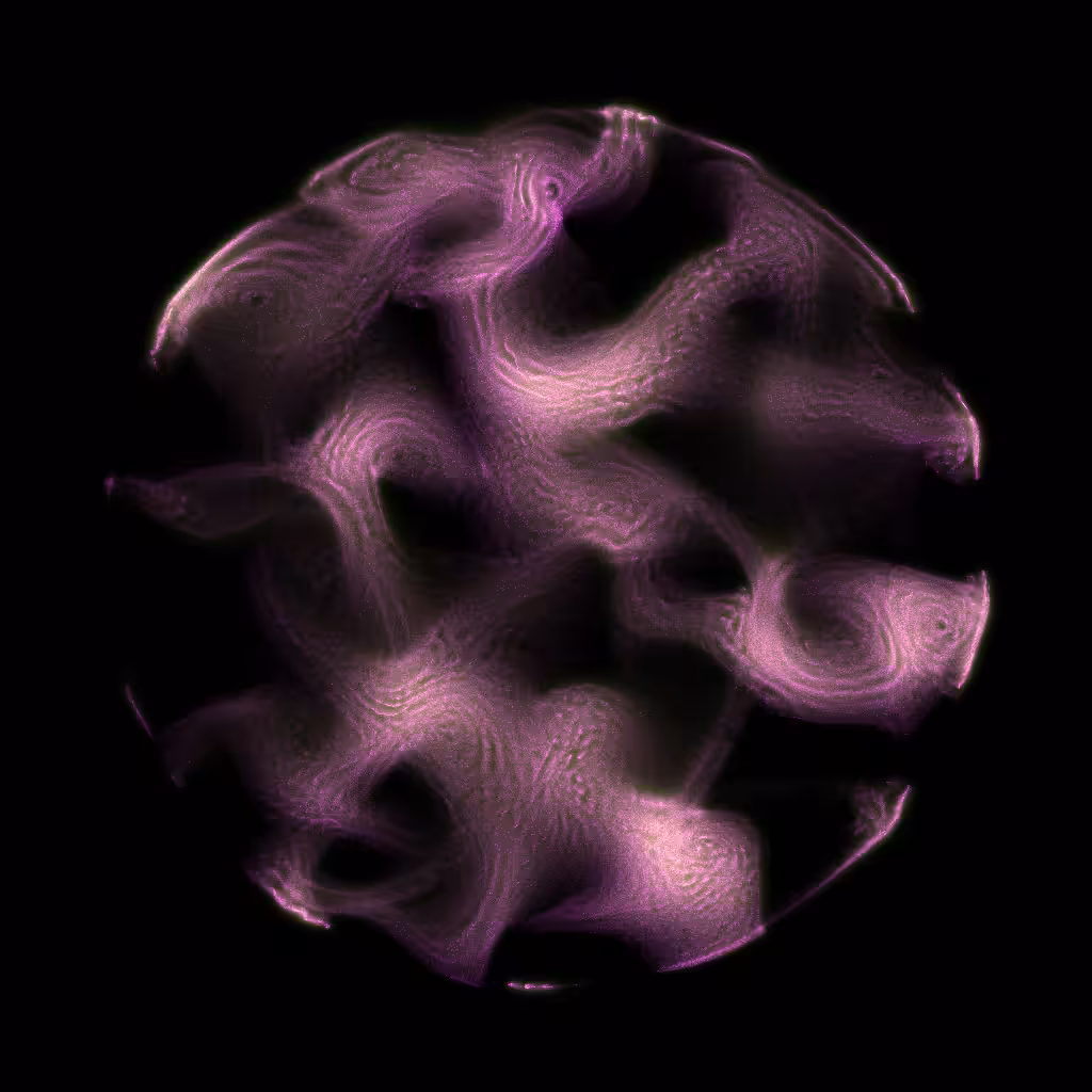PETRI #16
