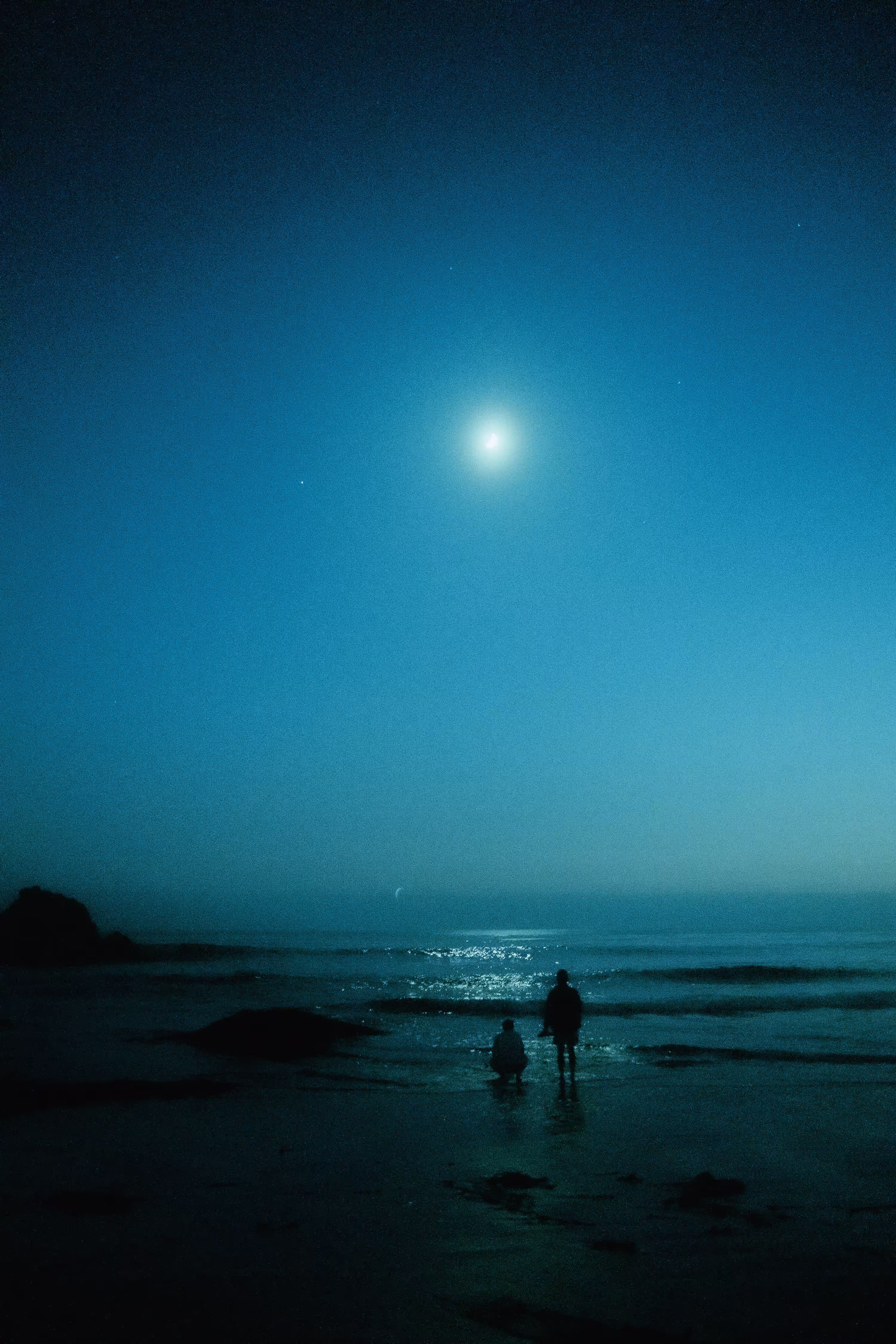 the night we met