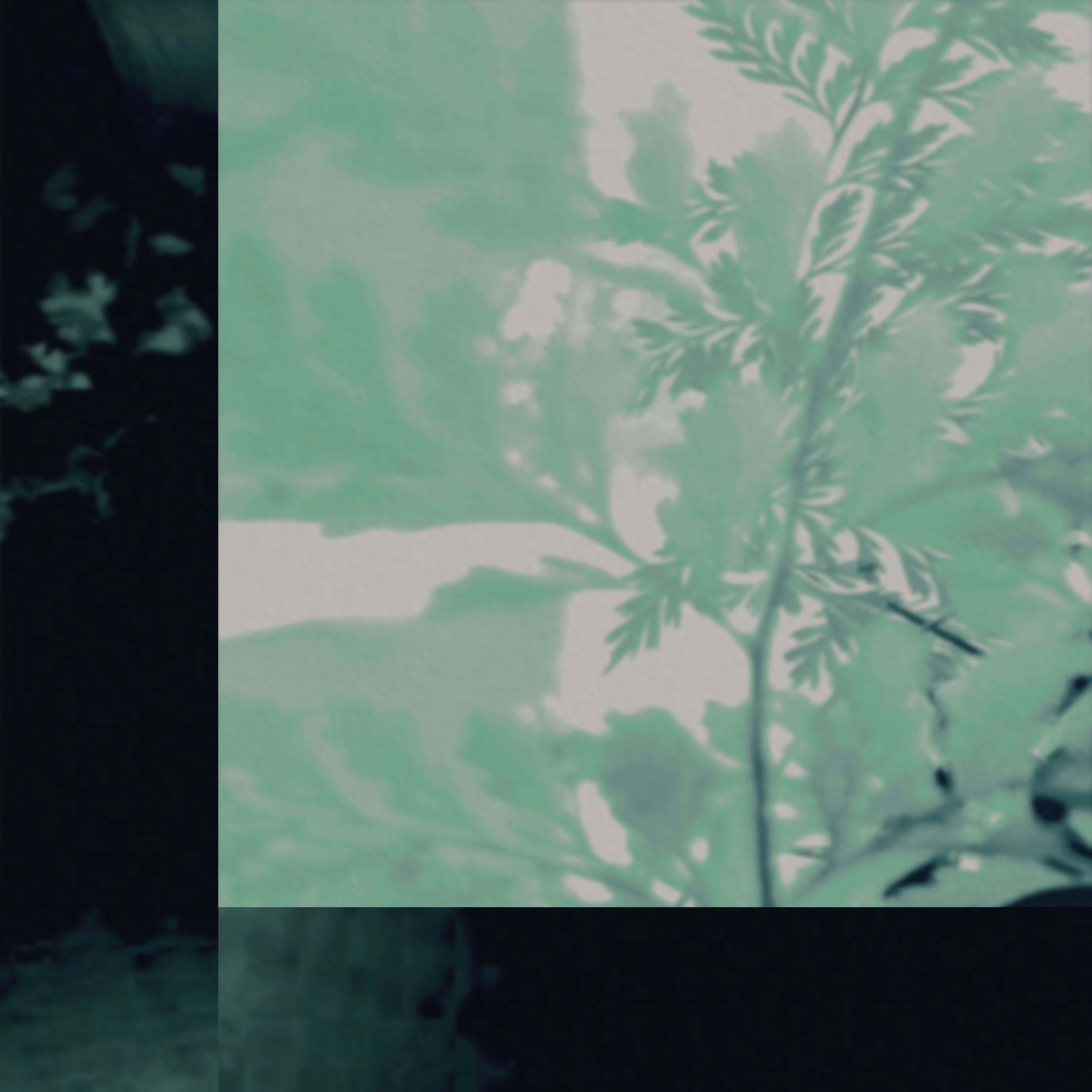 That Summer III