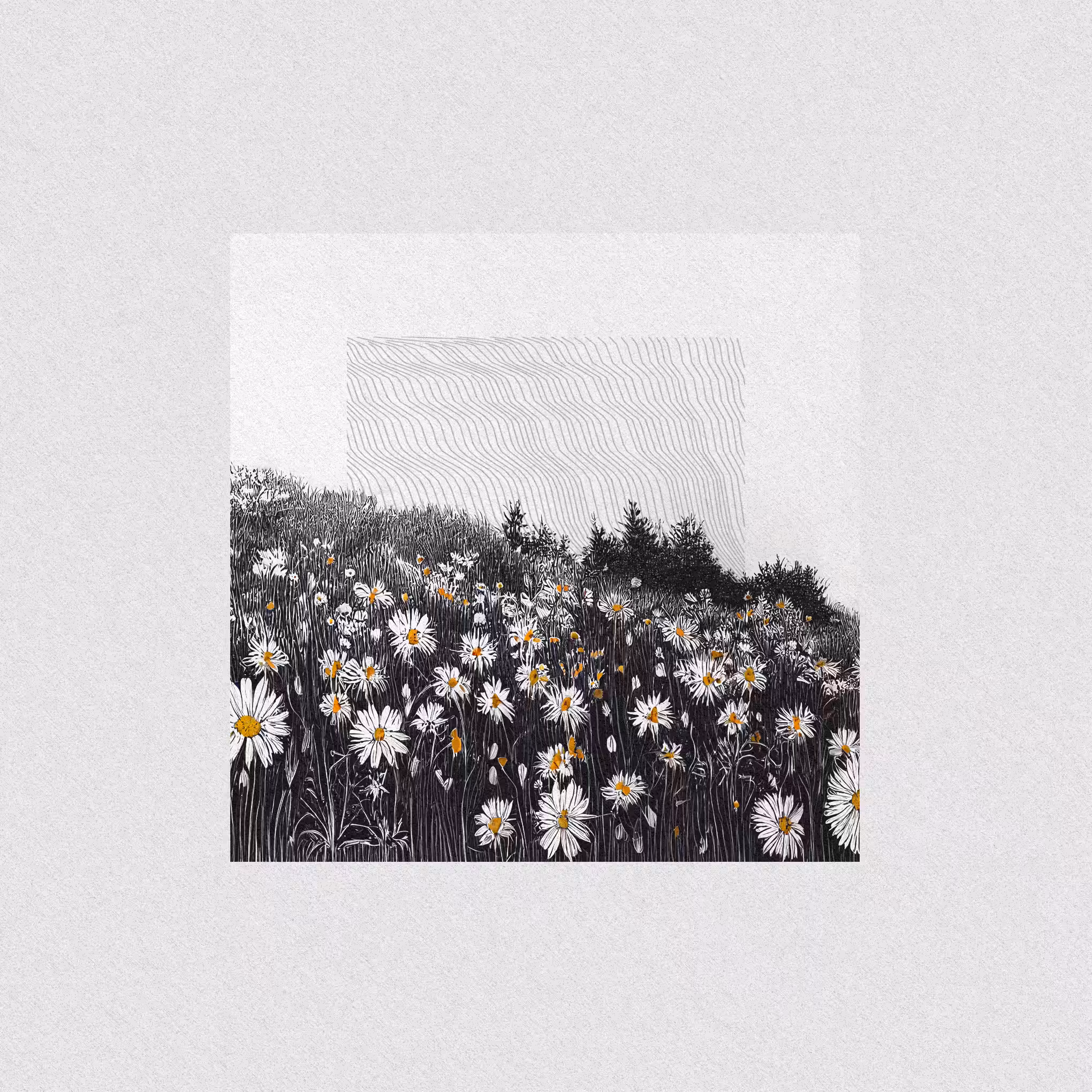 harmony · nature's fingerprint #11