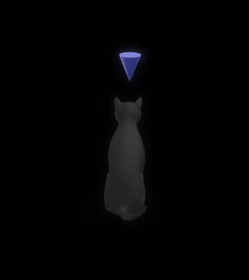 🐈‍⬛ ℂ𝕒𝕥