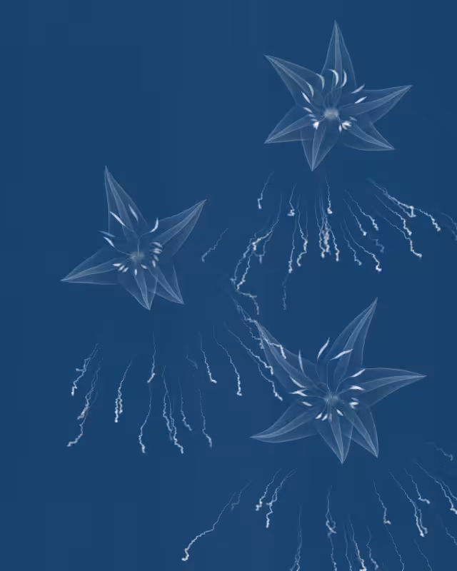Cyanotypes #155