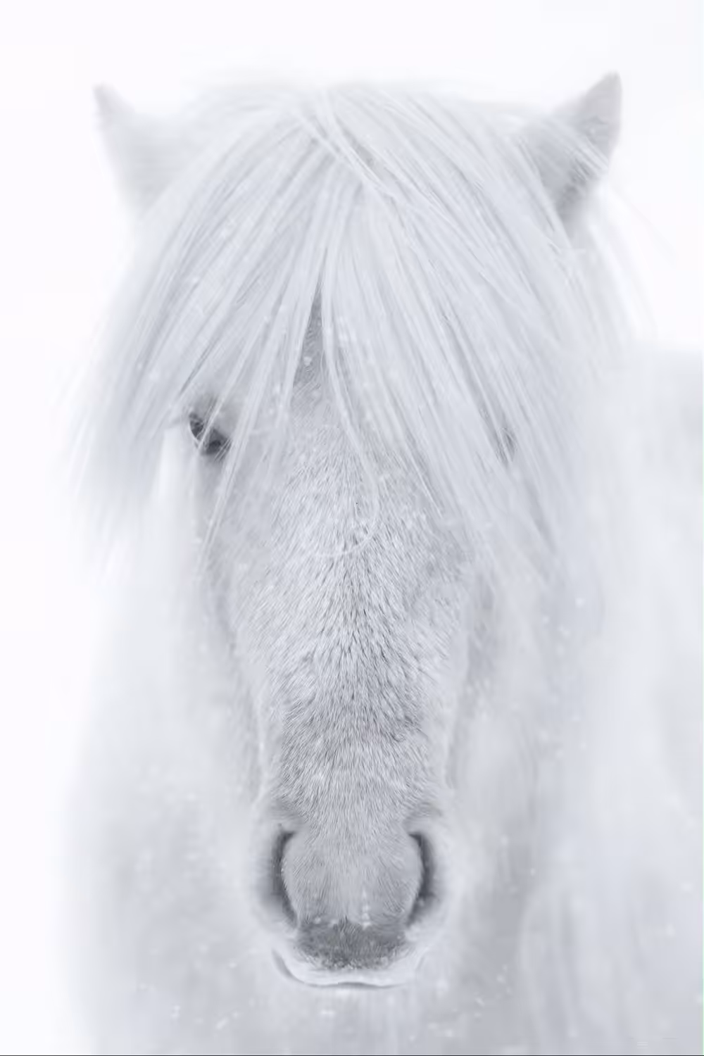 I See You - Love 