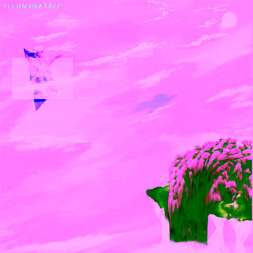 I L L U M I N A T E  / /