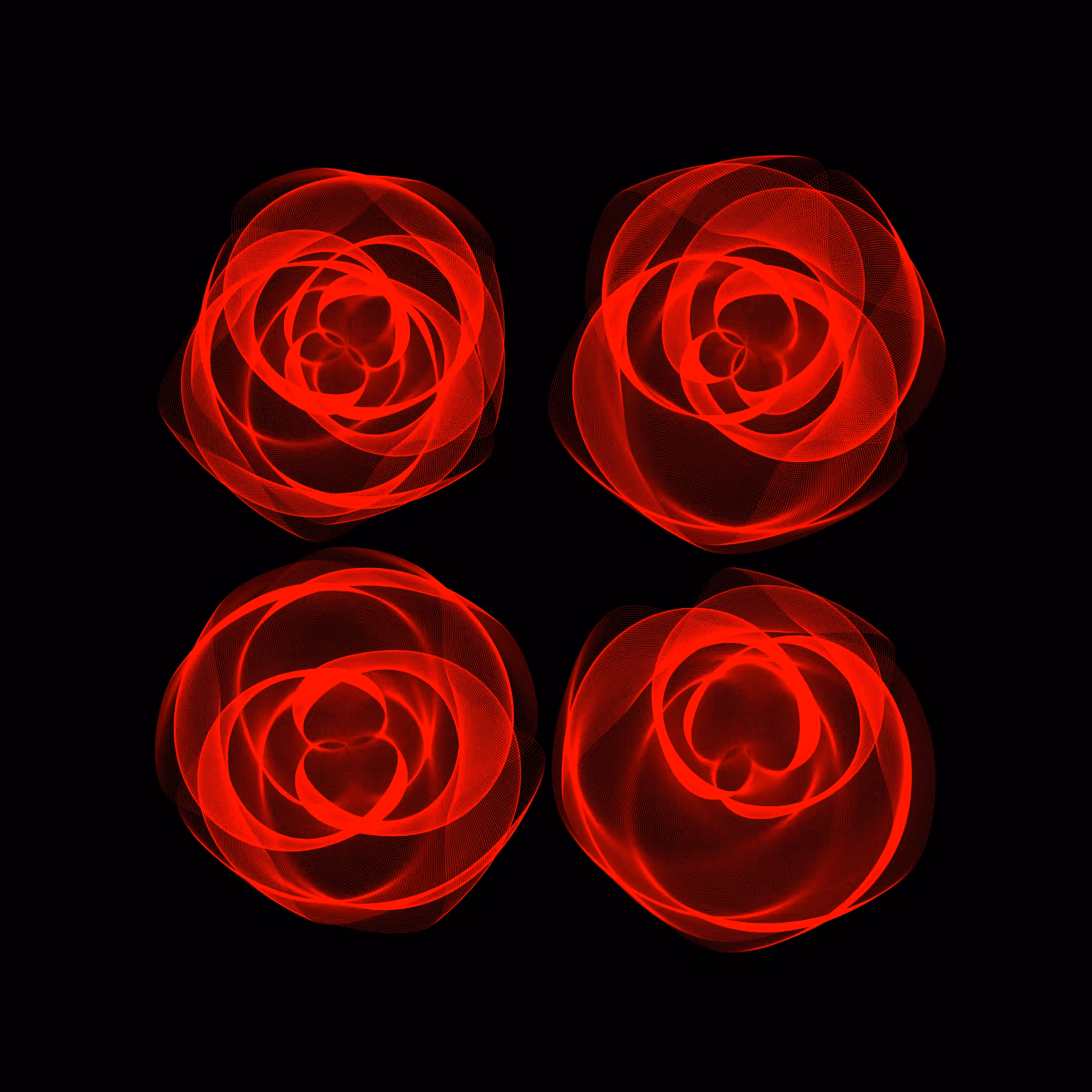 Flowers #2019