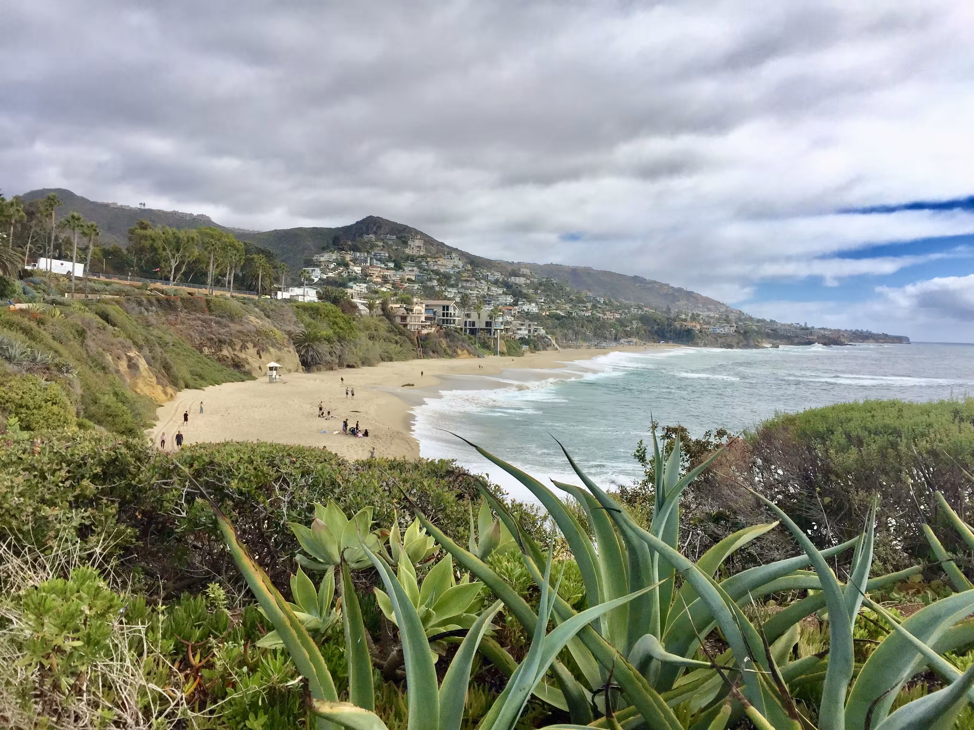 Path to the beach