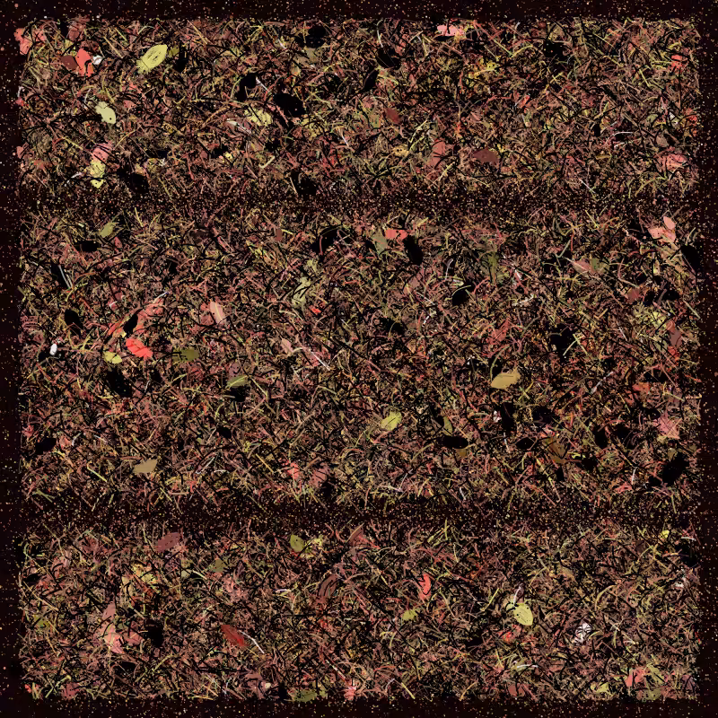 Into the Forestland #13