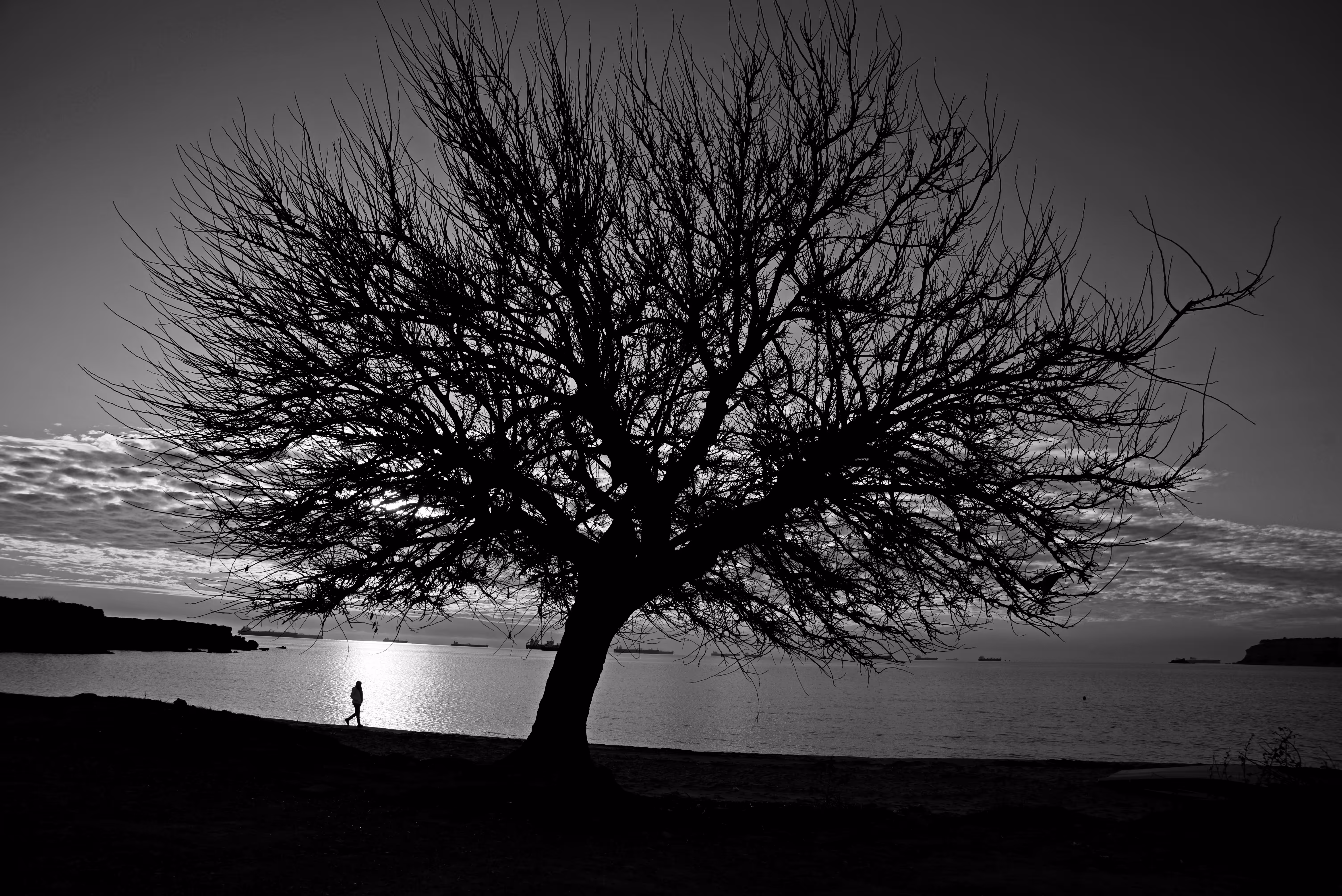 Lonely Human #14