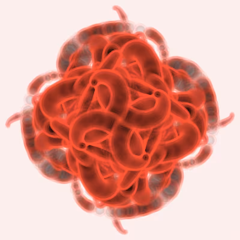 Math Flower #29