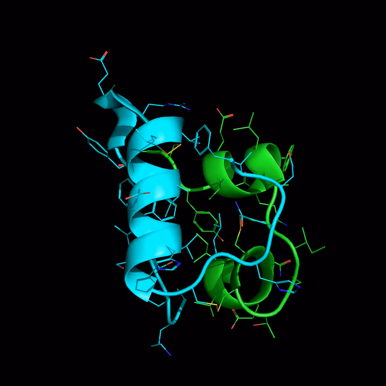 Human Insulin Peptide Hormone