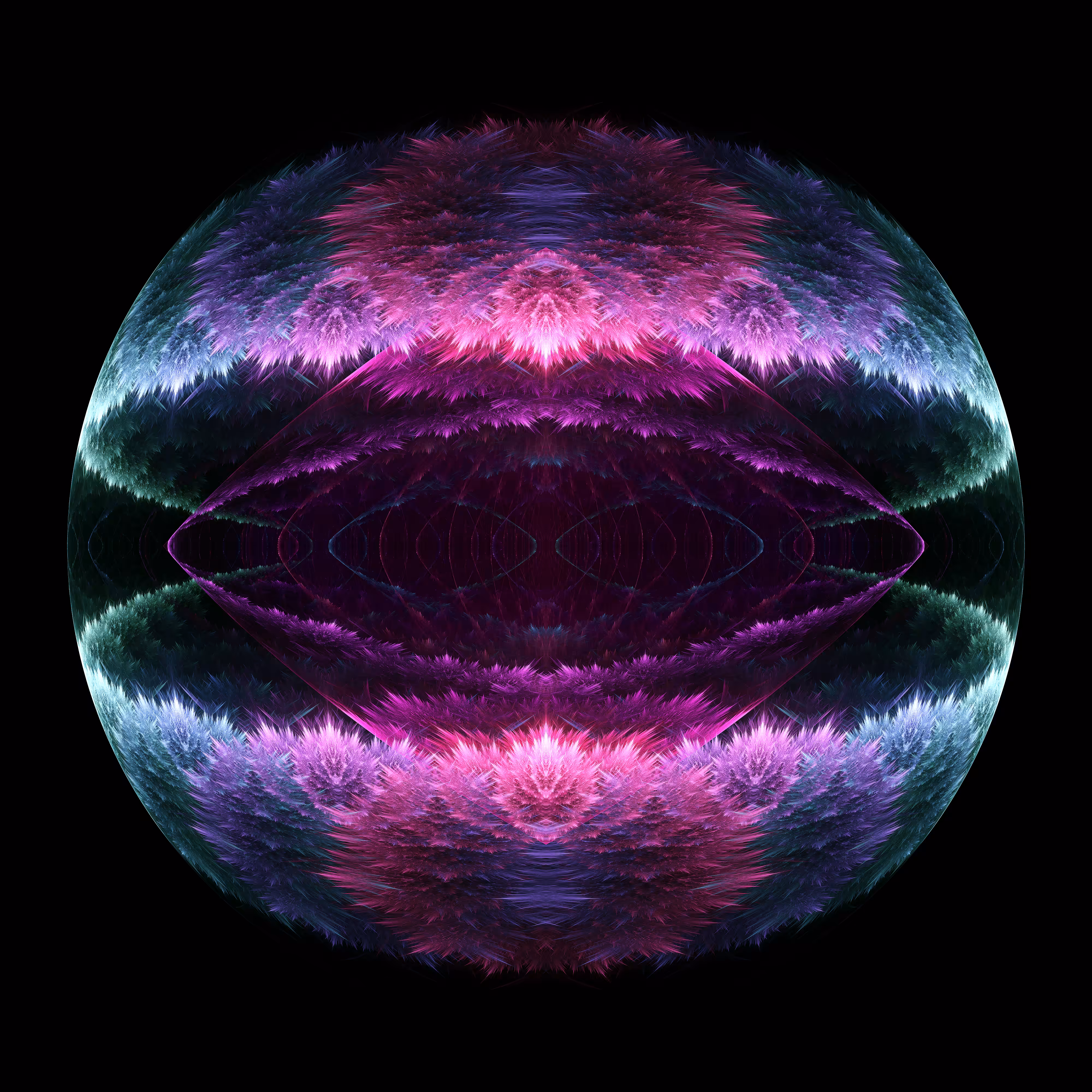The Shell