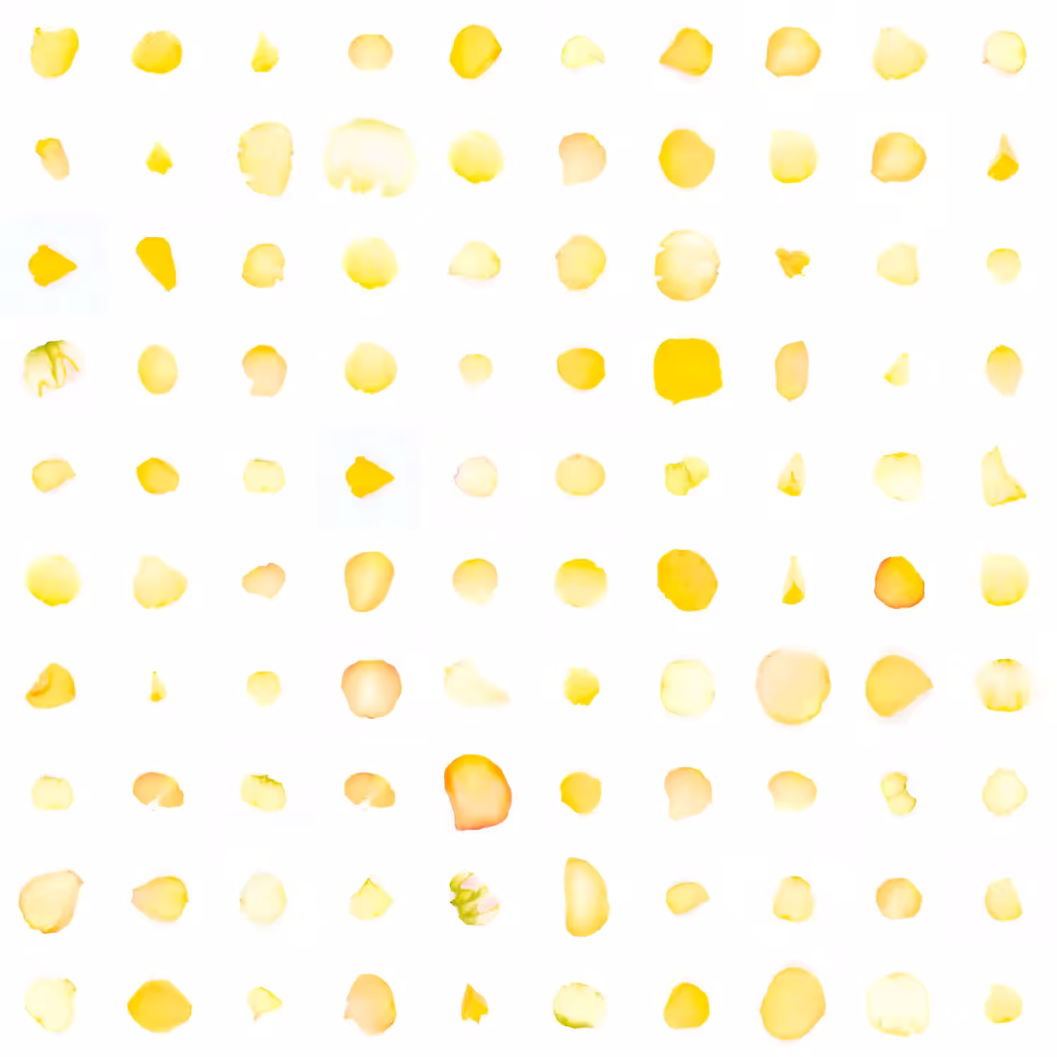 Infinite Petals 10x10#10043