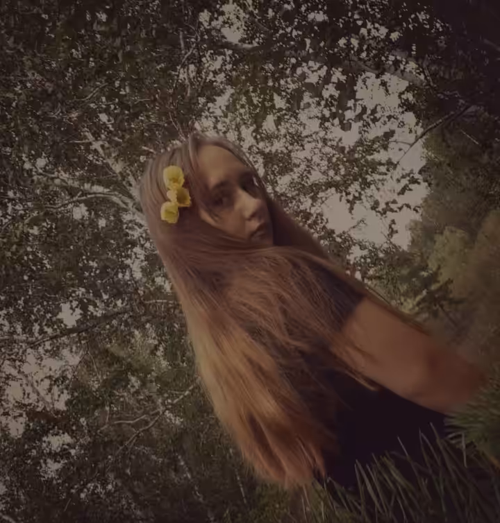 A walk in the forest