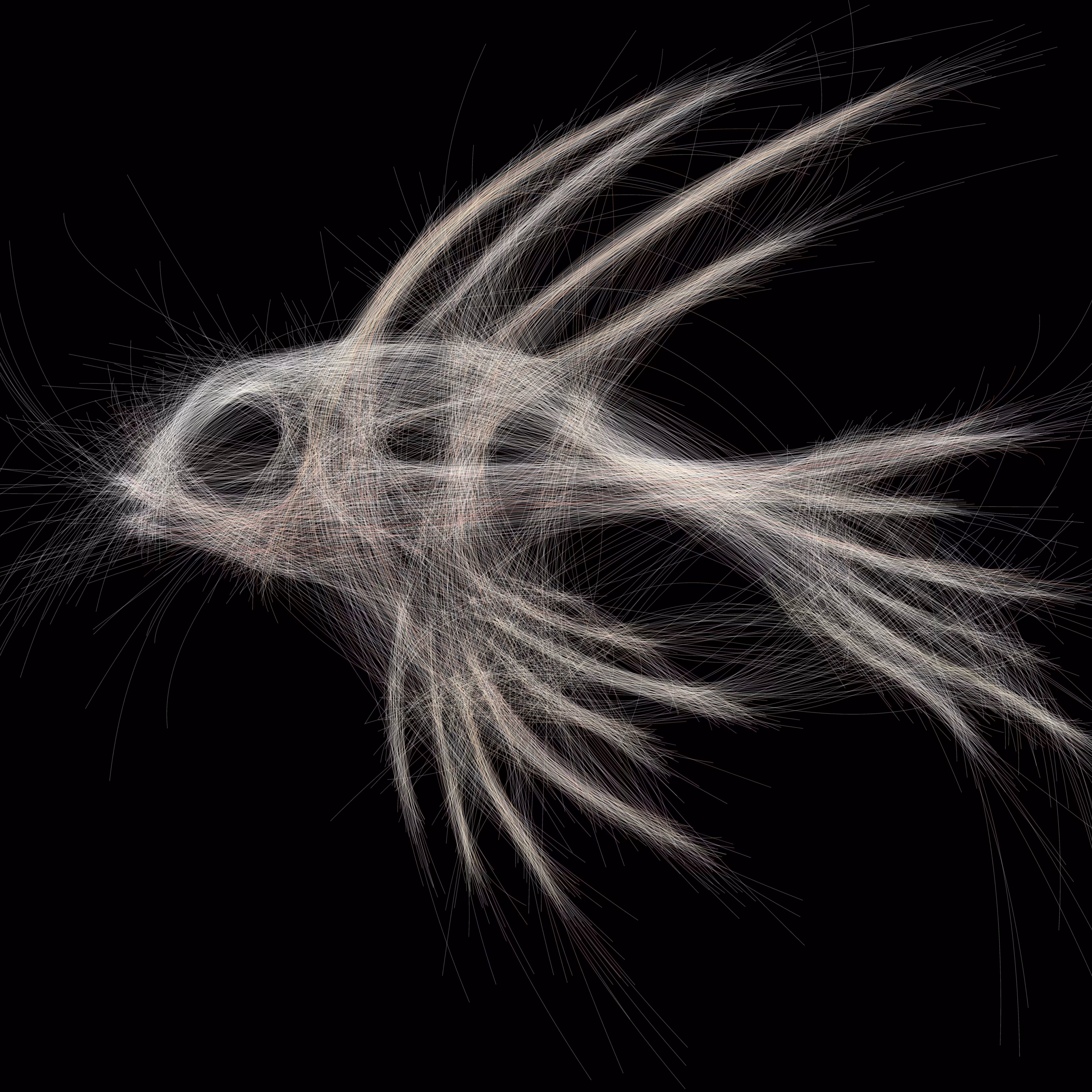 Underwater 134
