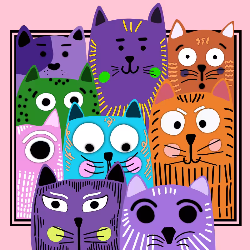 Kitty's Frame #6