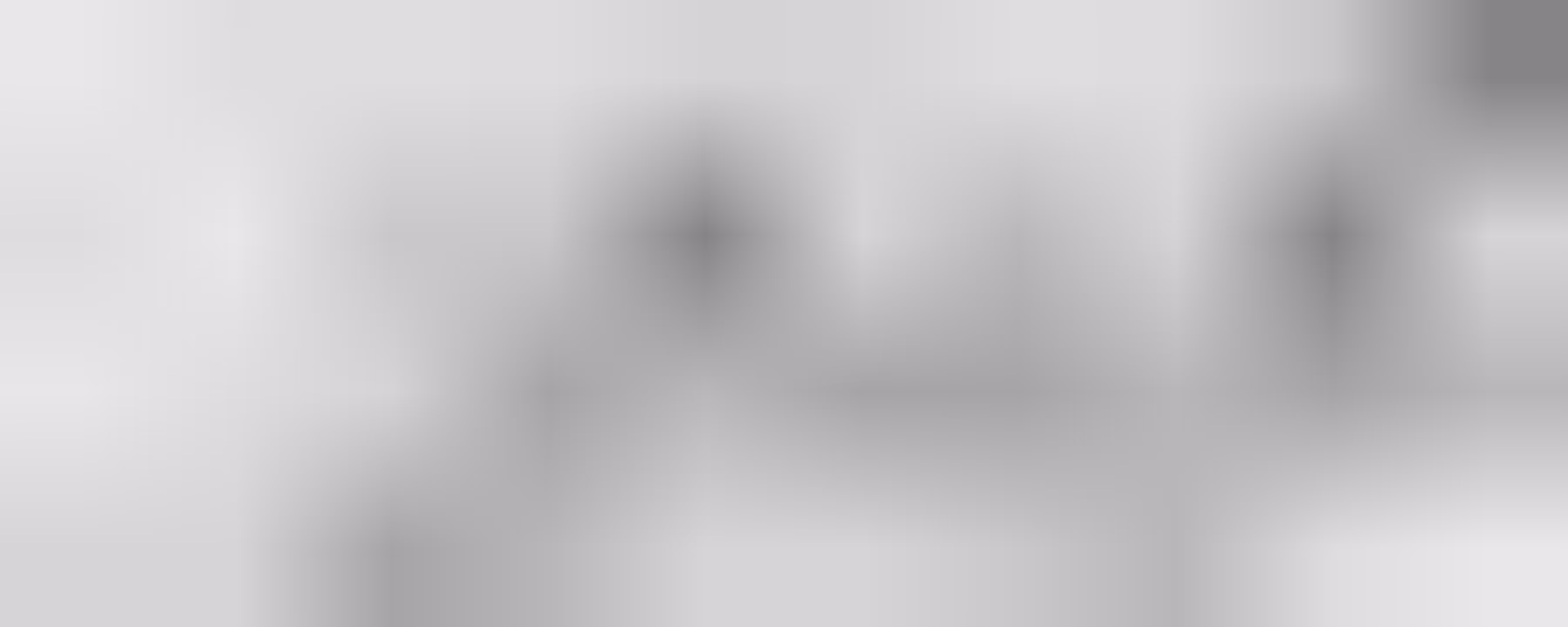 LYAM_250_10X4_23222222222121221322222120013322123220020013221318421213321323122121216518416516518316