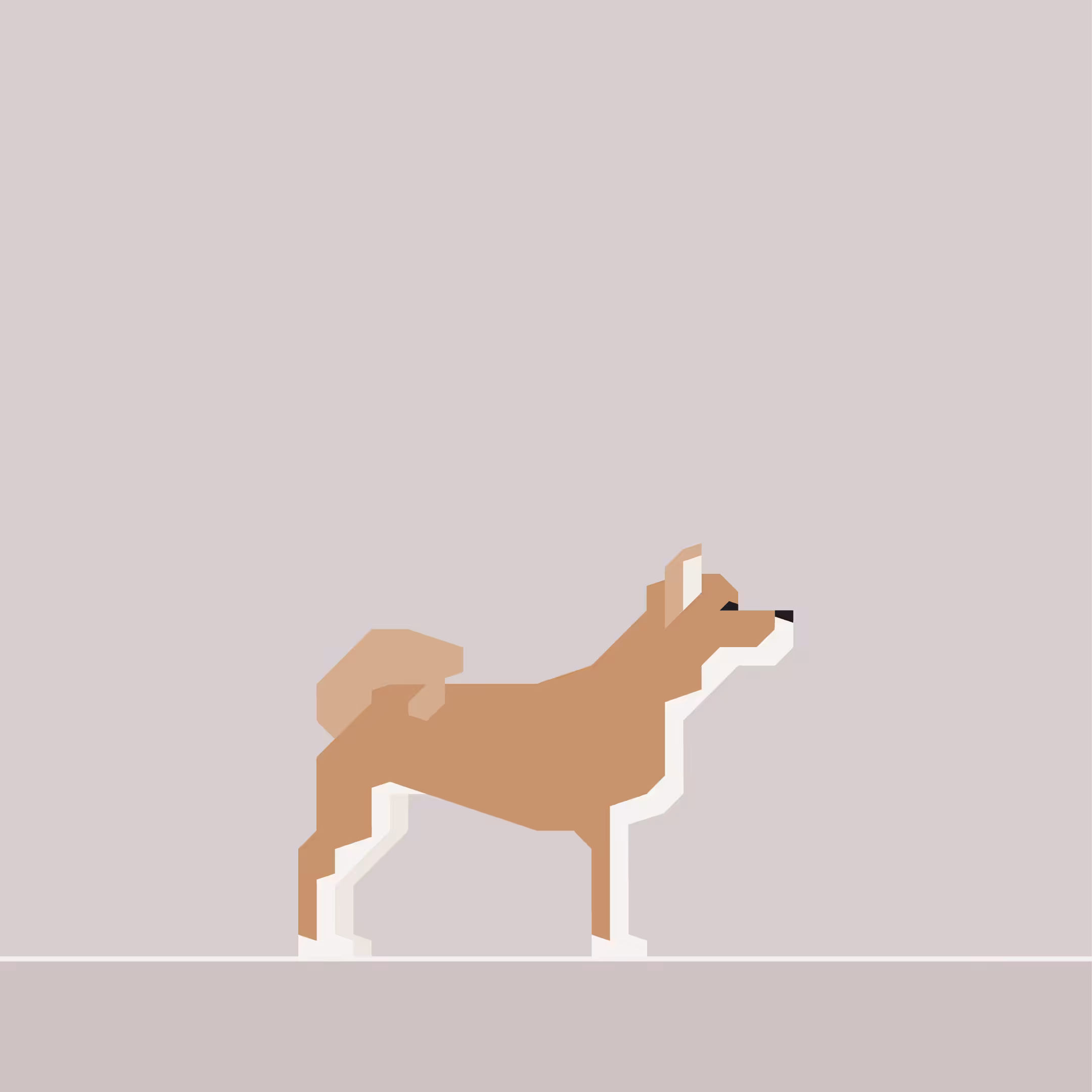 Shiba Inu