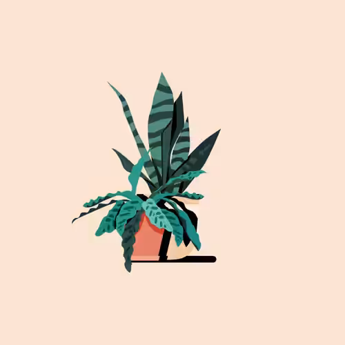 planters