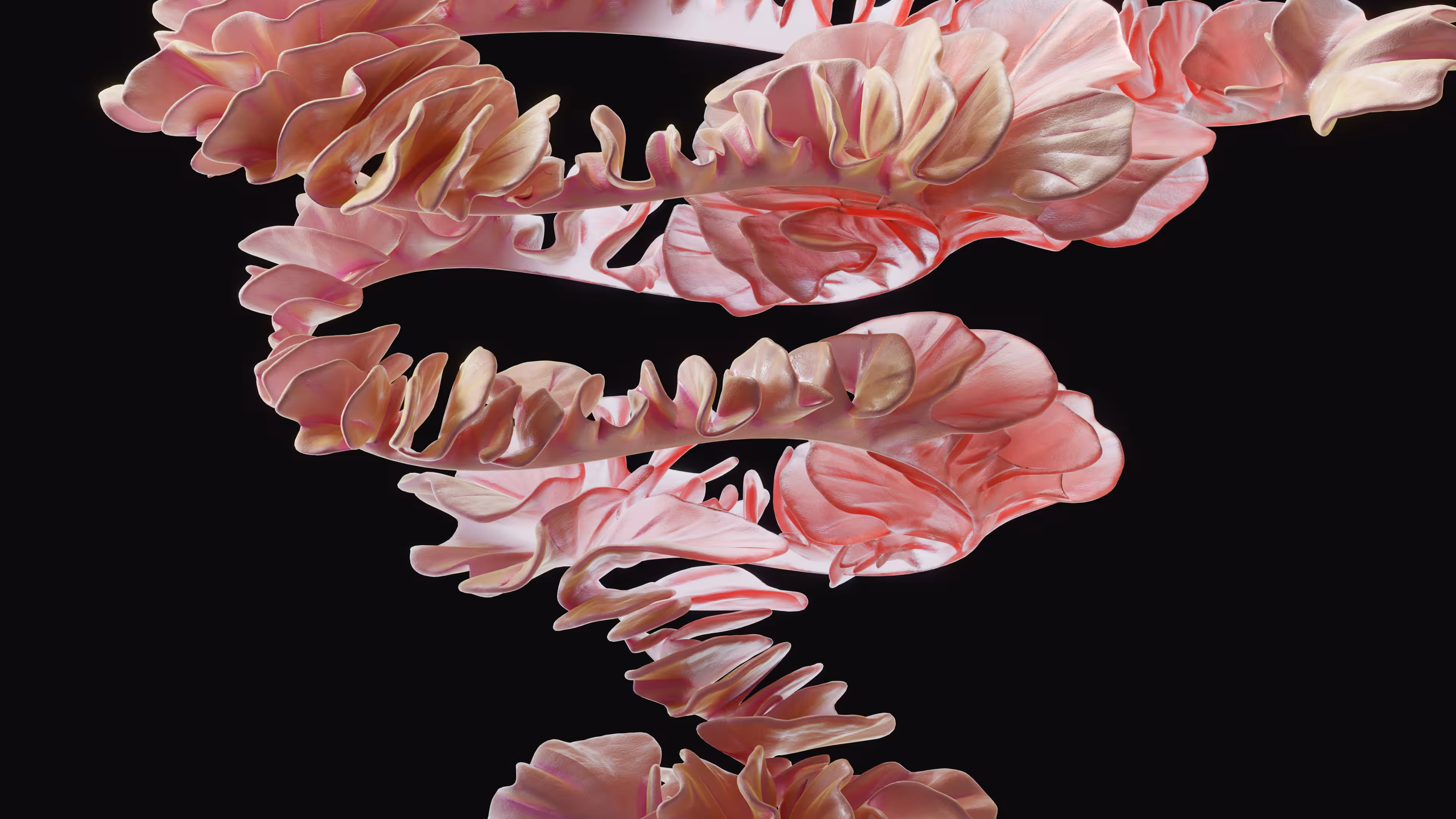 HYPHA #19 - CHRMMR