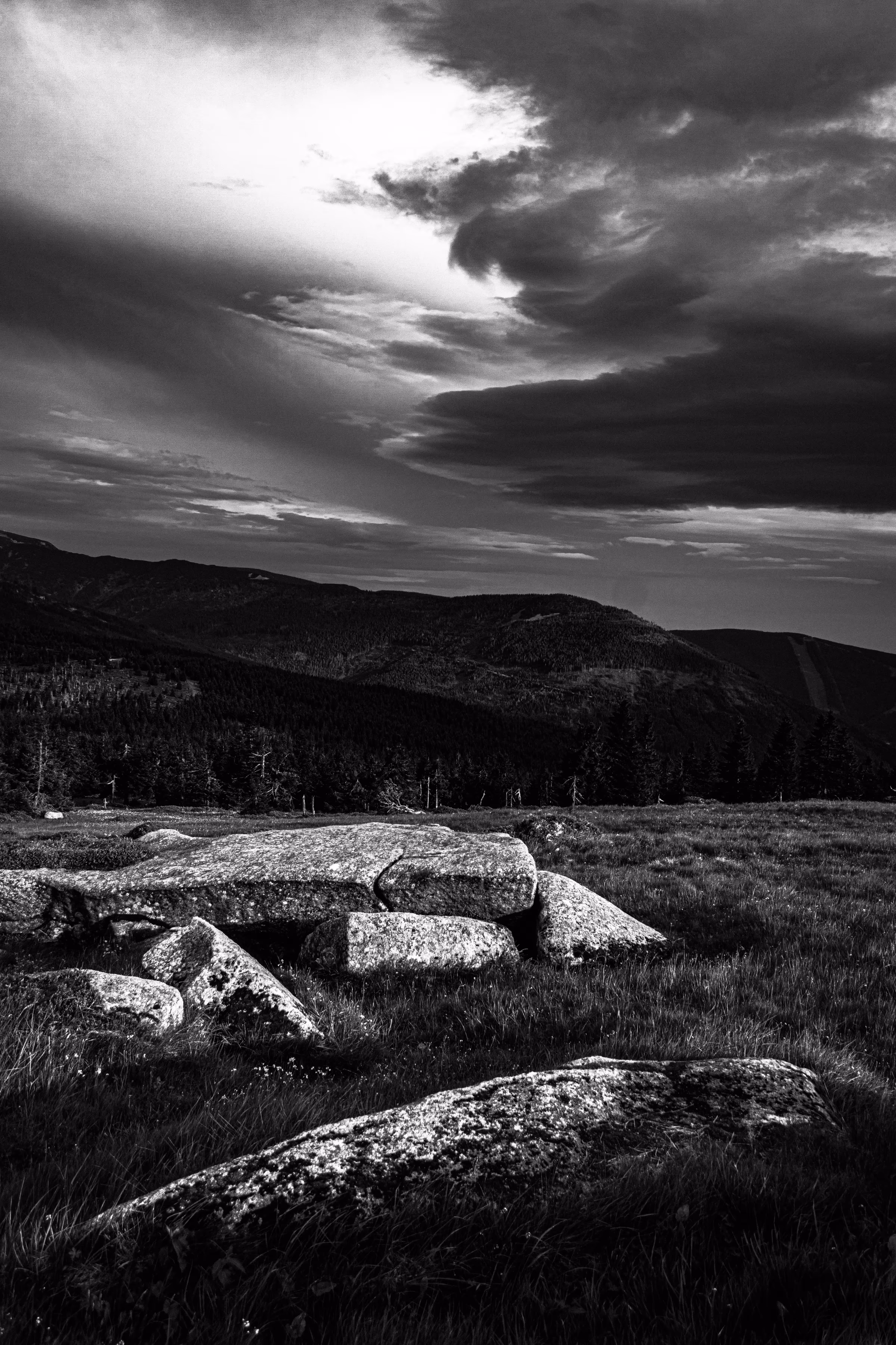 Monochrome Nature #006