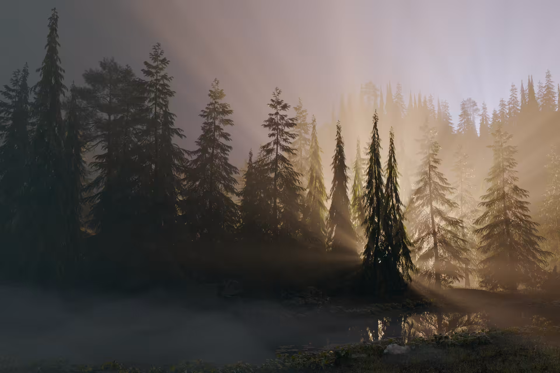 Obscured by Light (frame)