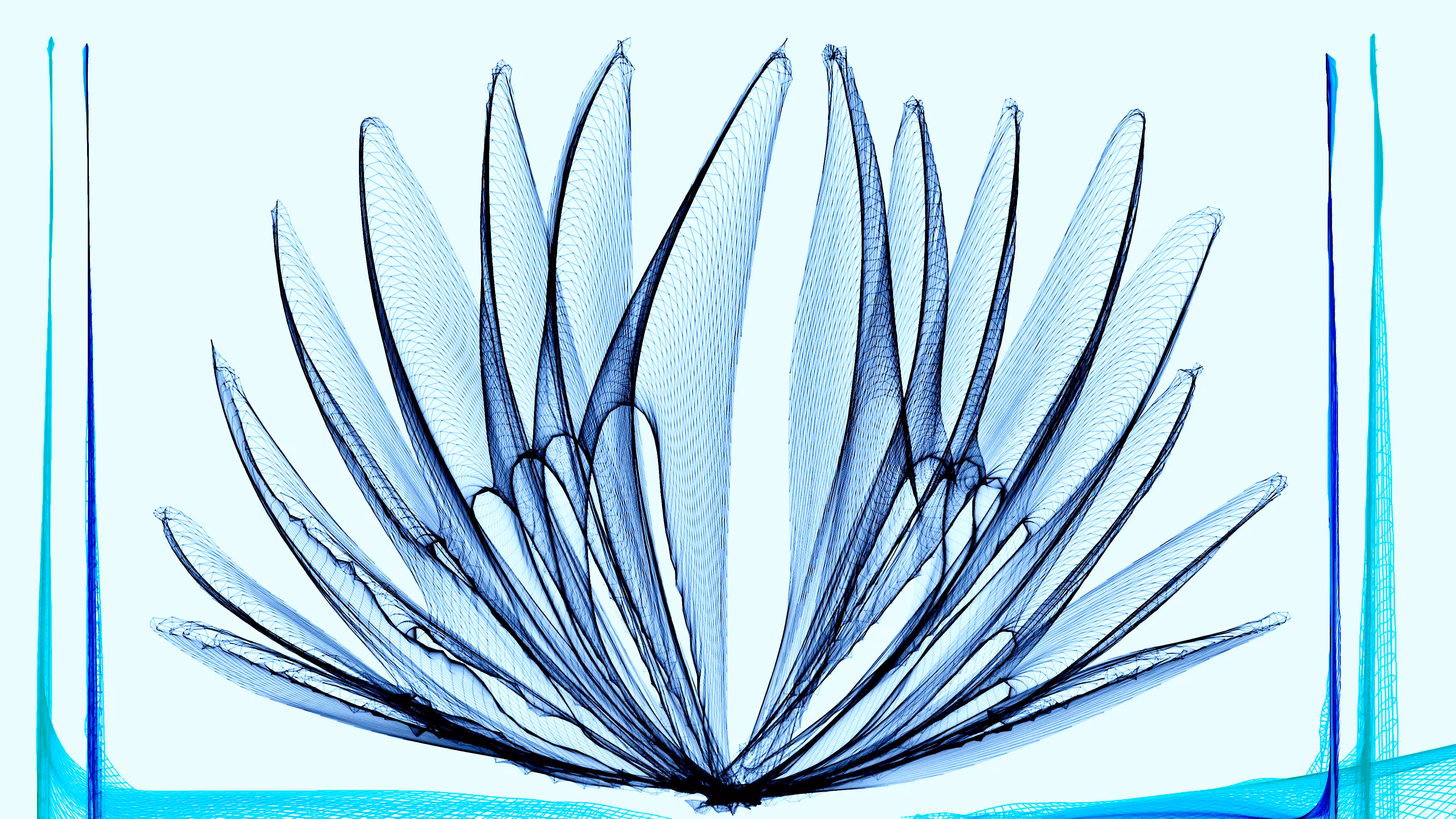 Fairy Wings