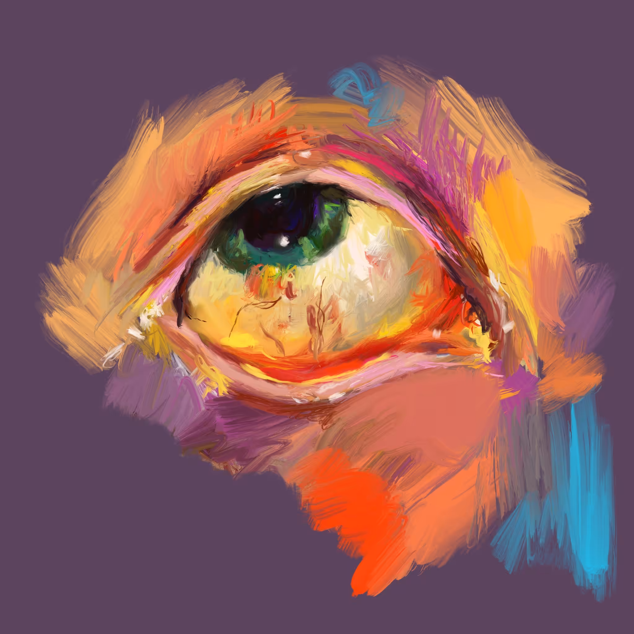 THE EYE I