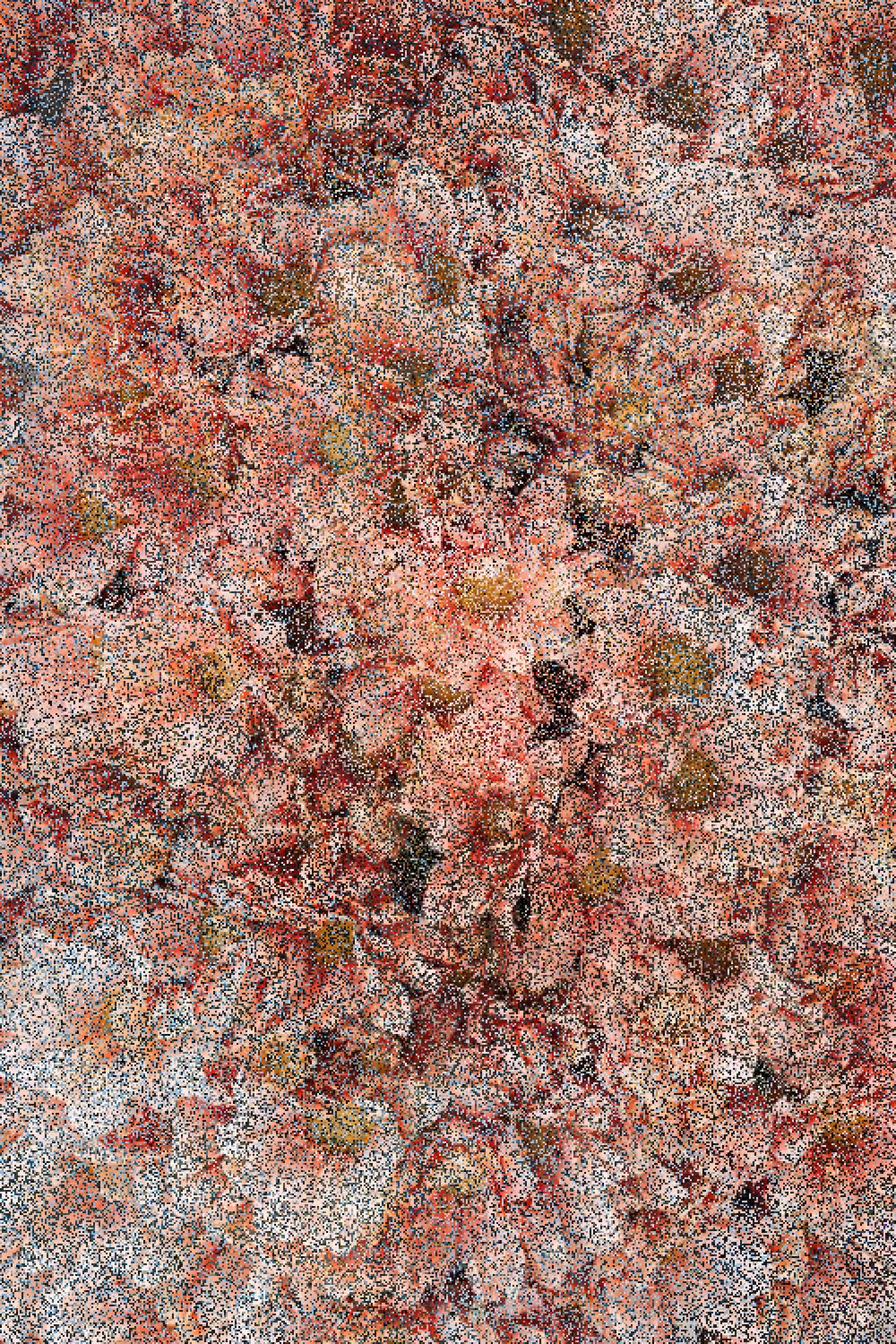 Flowers.004