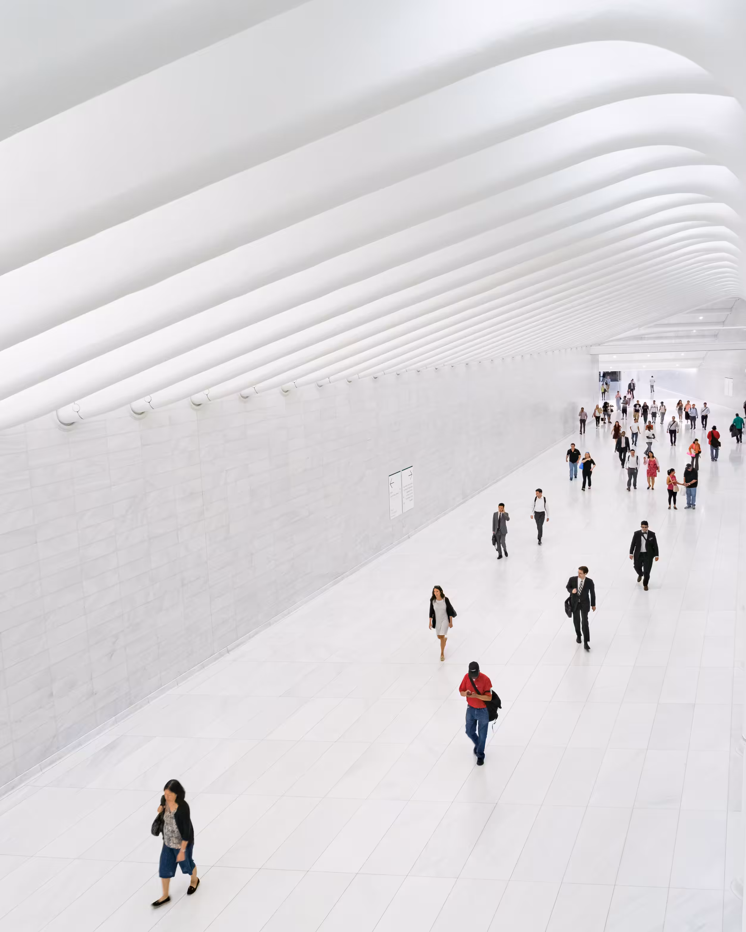 Privileged Mediocrity - Under the World Trade Center