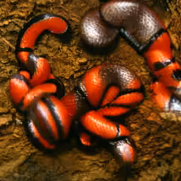 funbug.com (1999-2001) reimagined by Cosmographia, with Simon Denny and Guile Twardowski