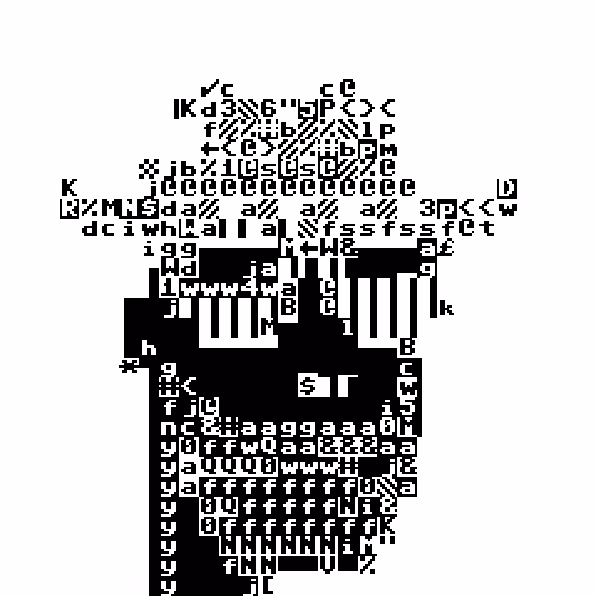 PET Punk 308