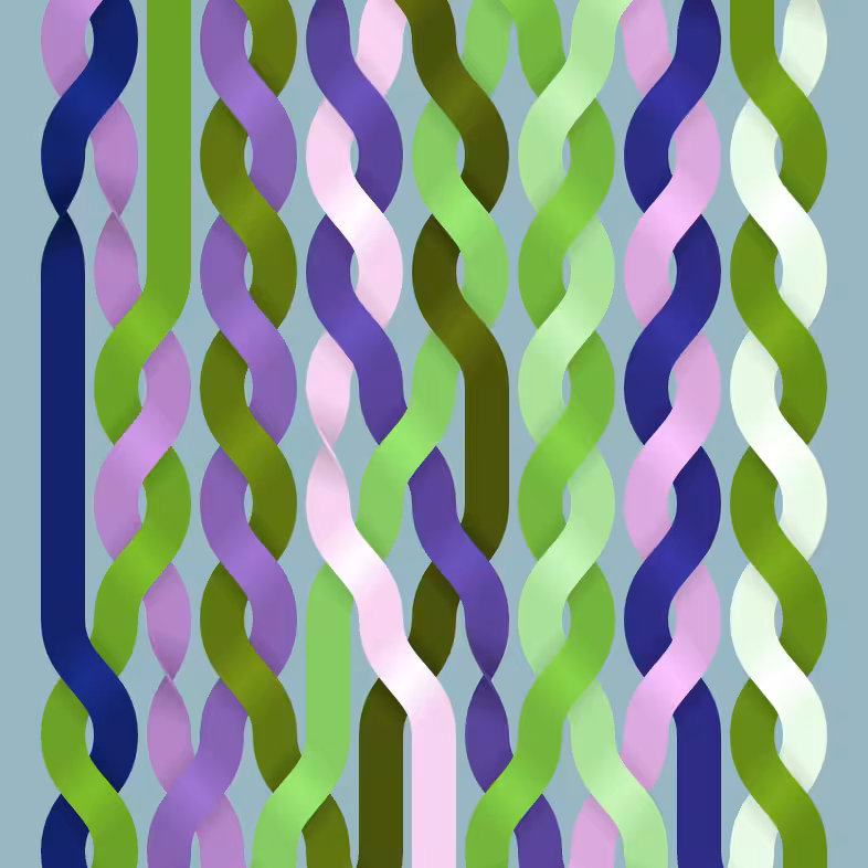 Endless Braids #25