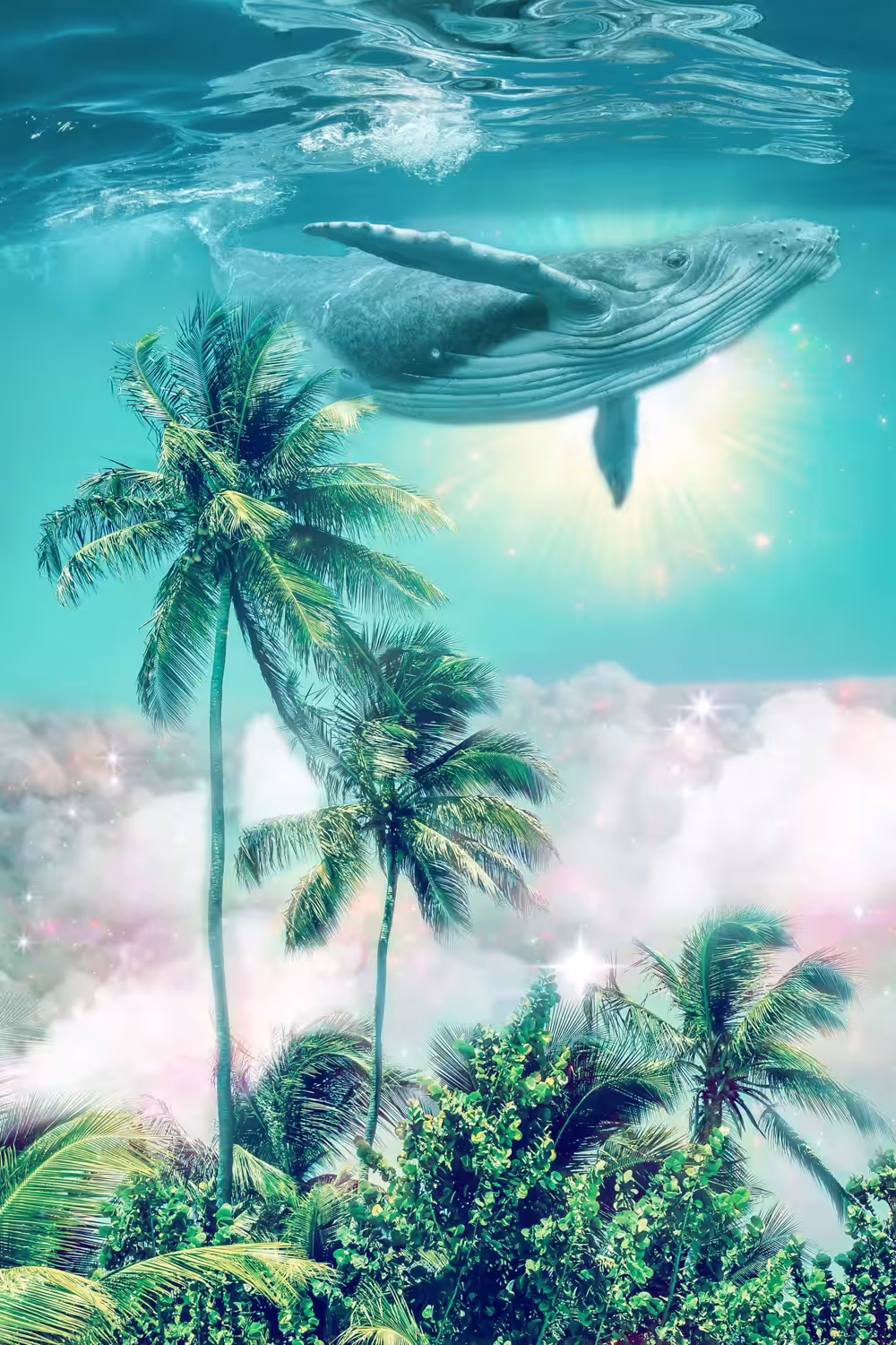 Whale Paradise