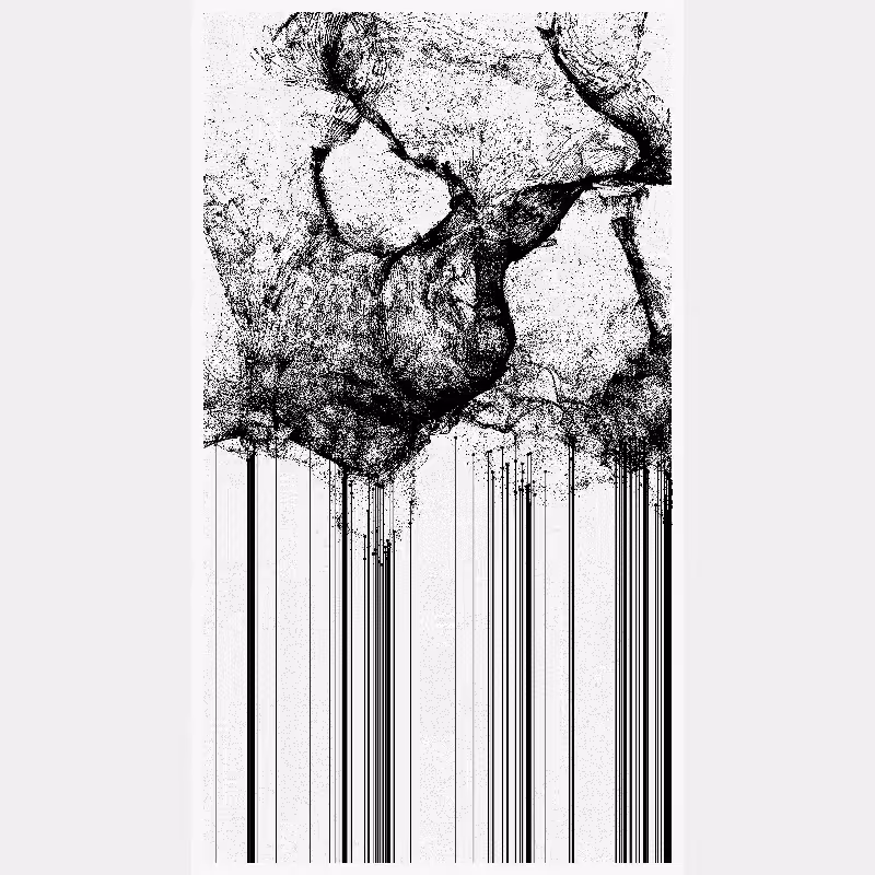 tears on lands #69