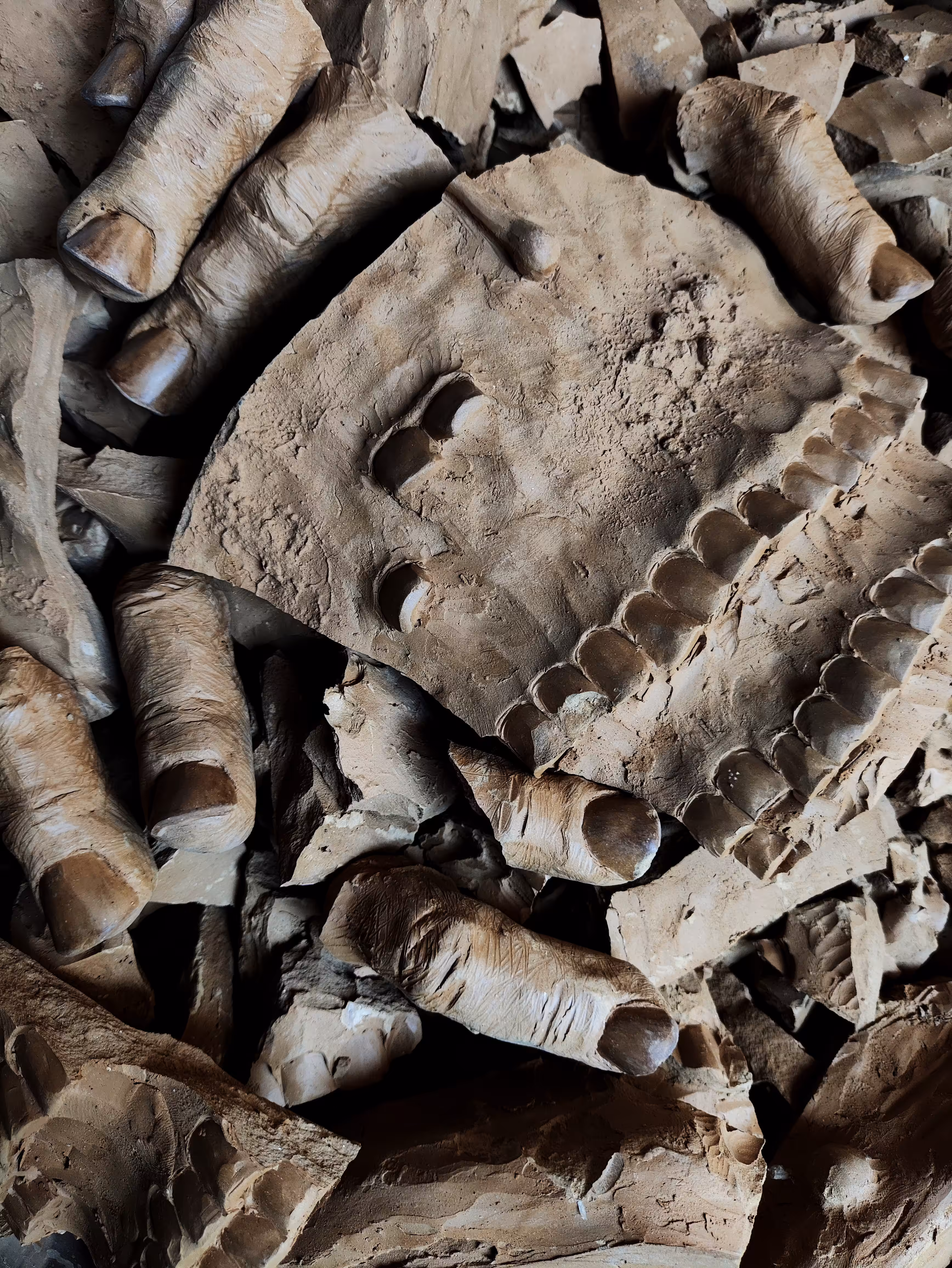 Torture, Relics and Debris (A tribute to Gaza)