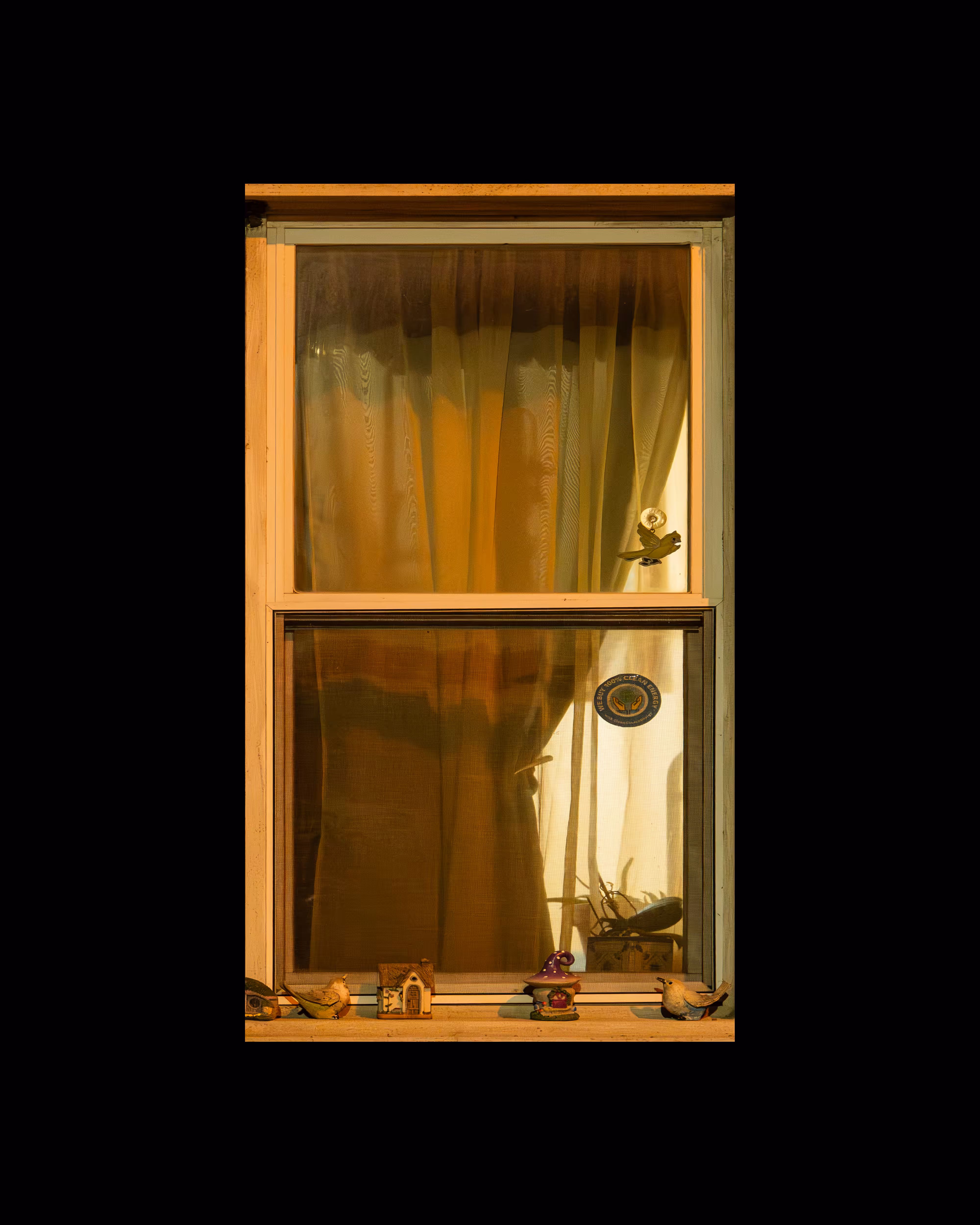 WINDOW 495