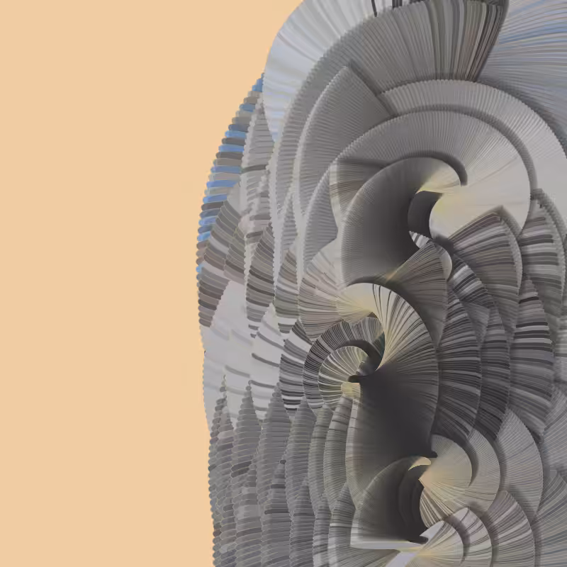Seashells #52