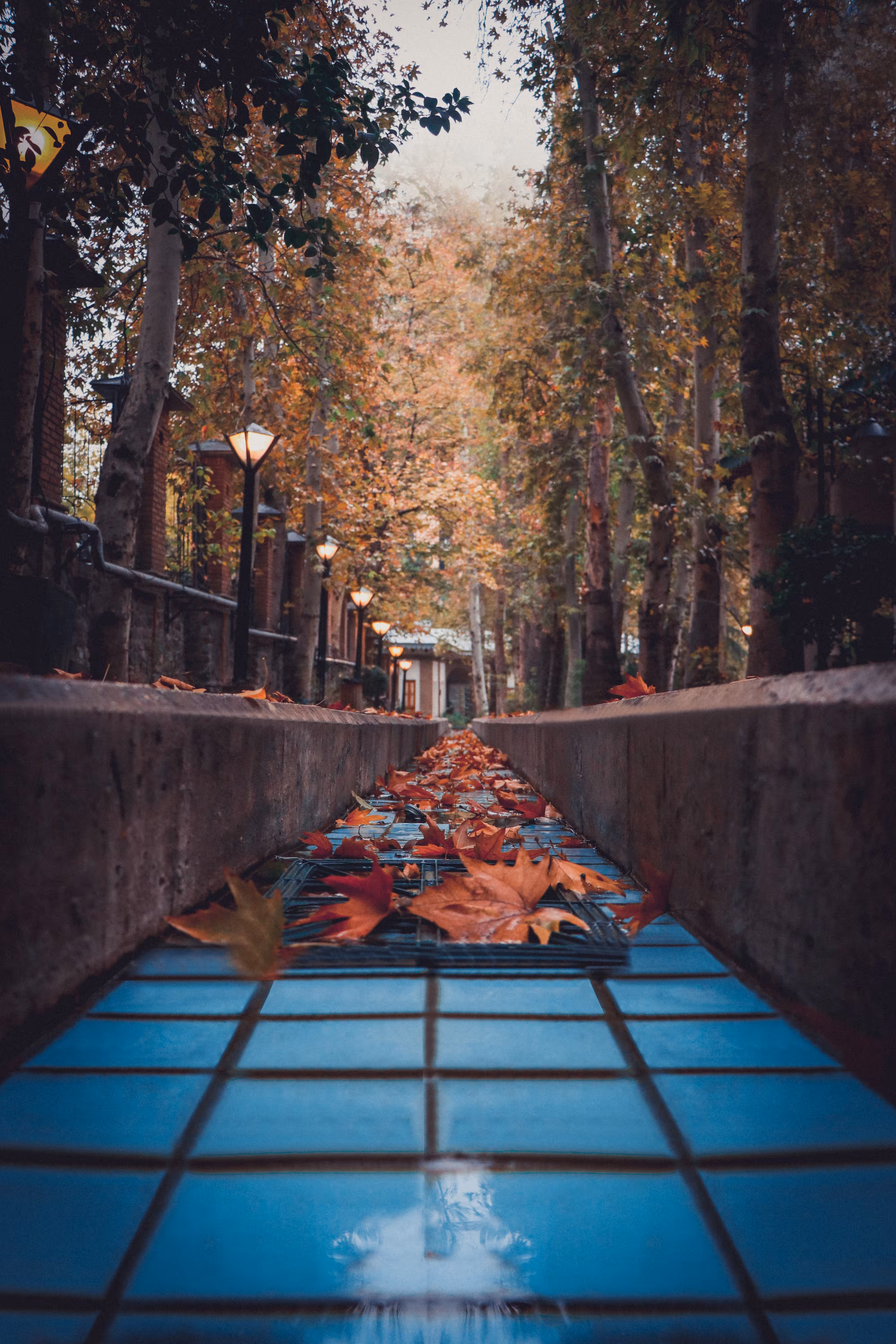 Fallen Moments 