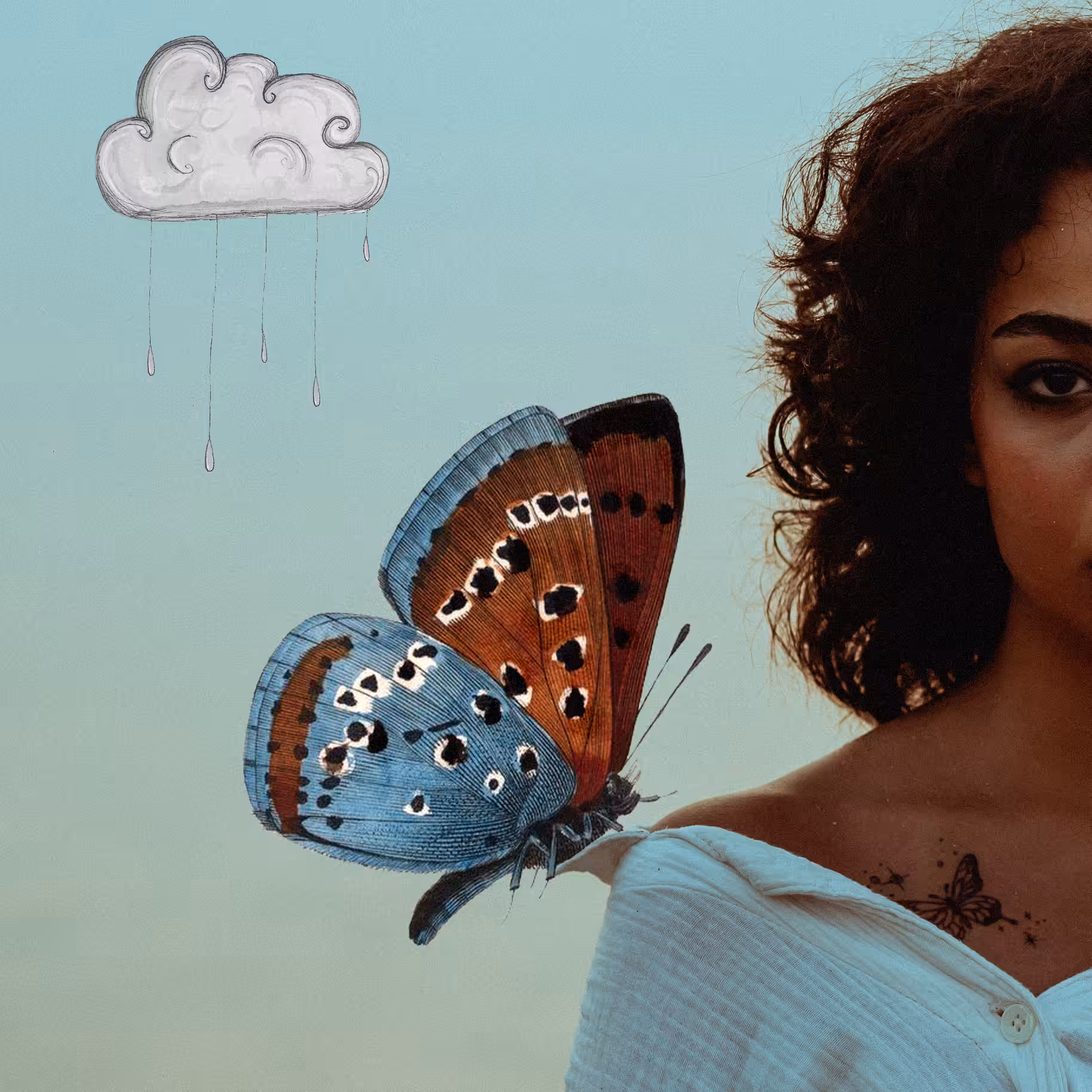 Genealogy of butterflies