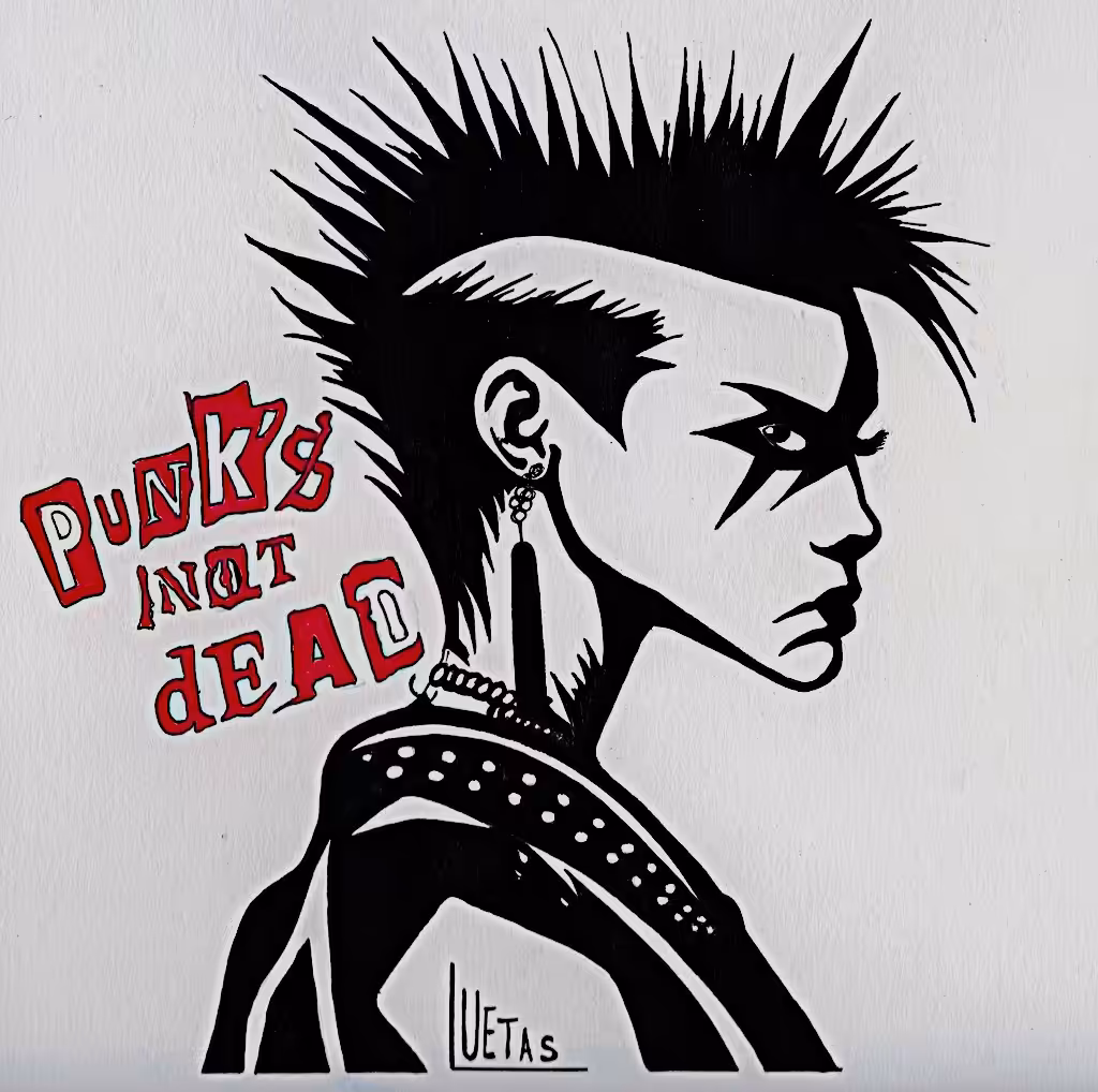 PUNK´S  NOT  DEAD