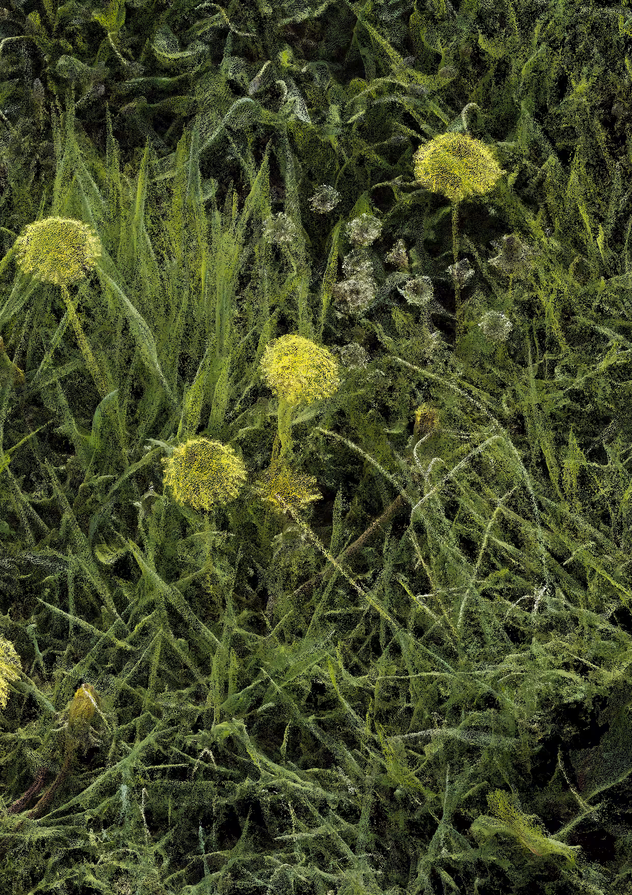 Overgrowth 0357