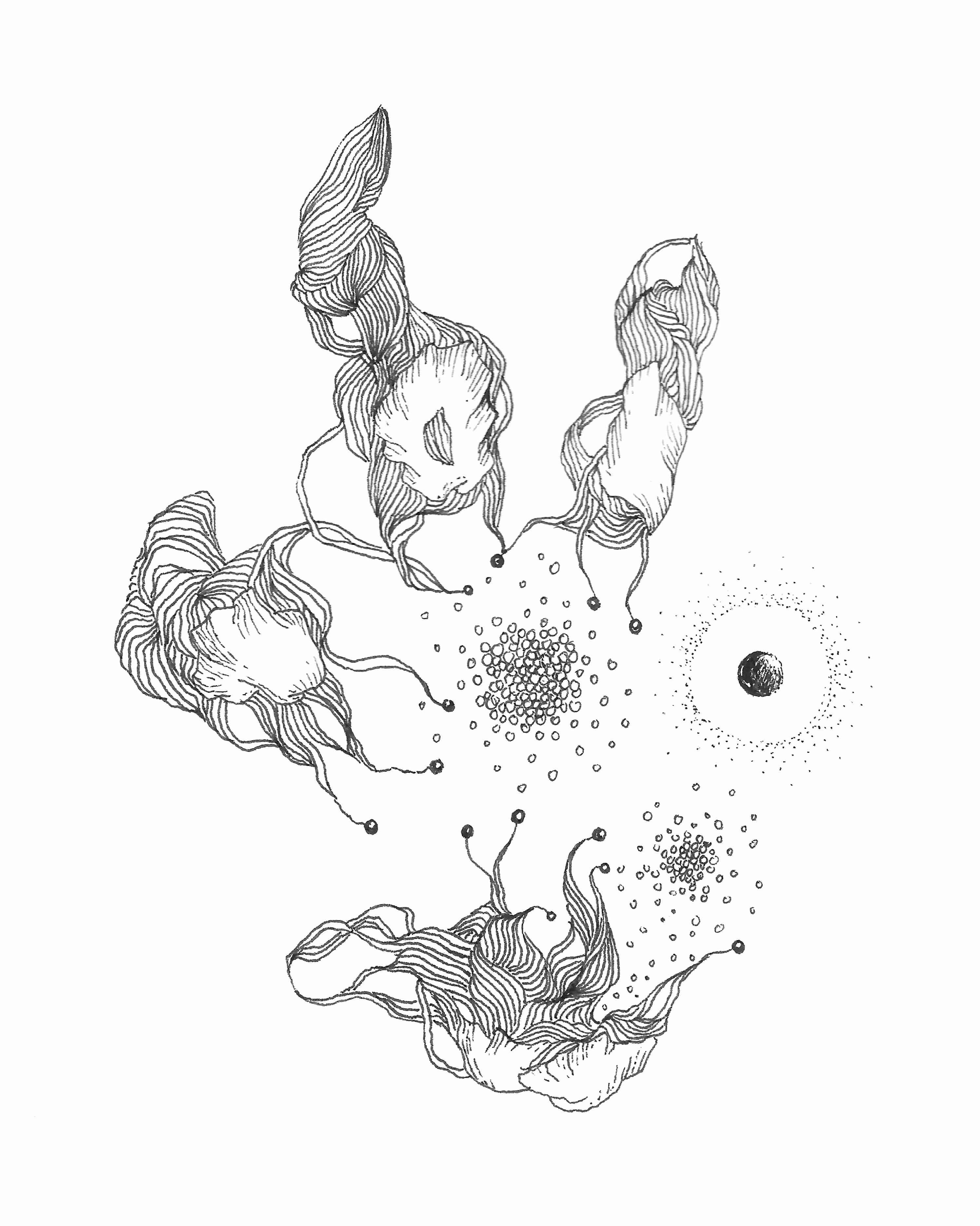 SKETCH BELIEF