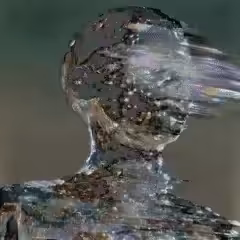 connect