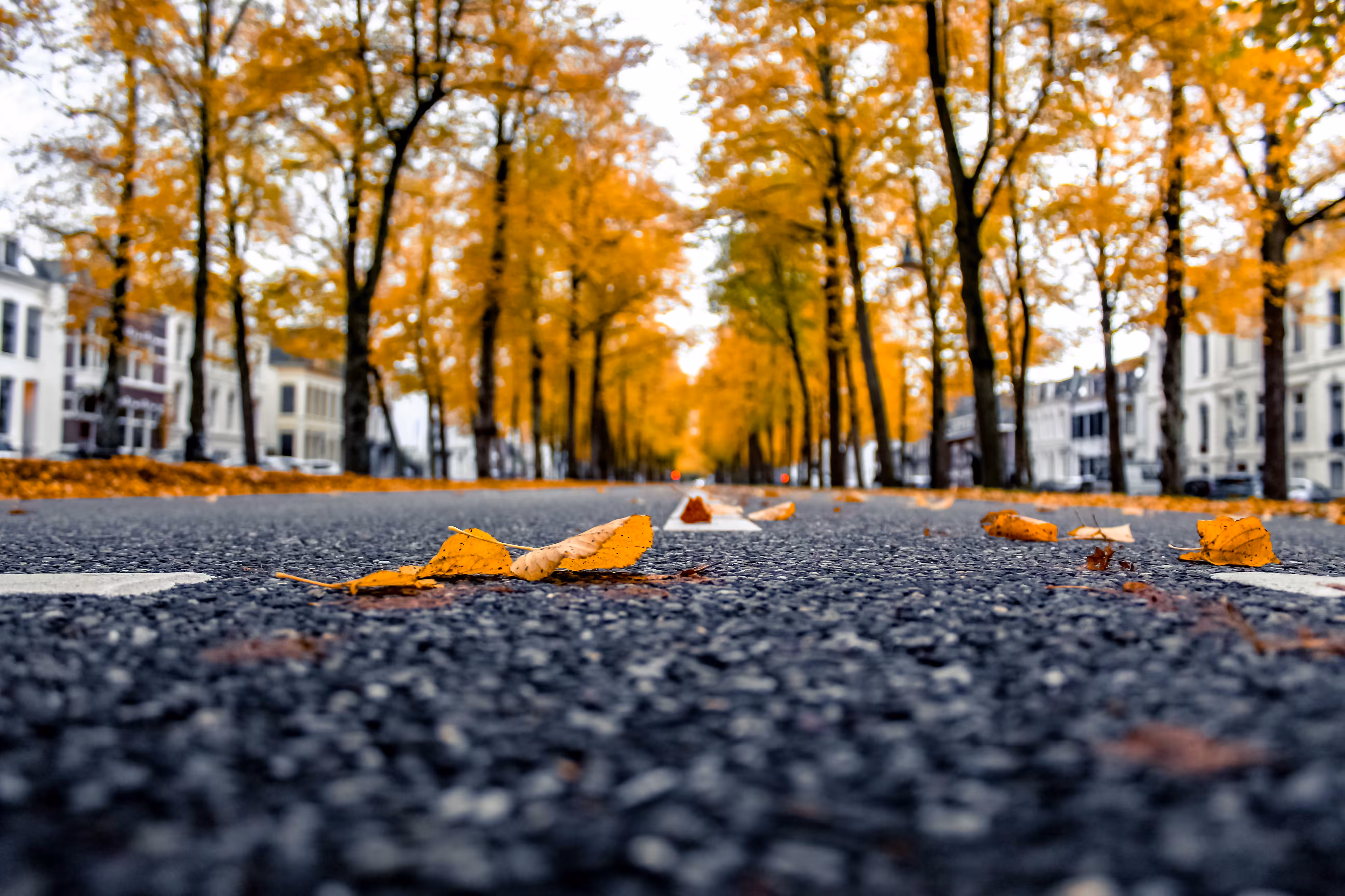 Low angle view of street