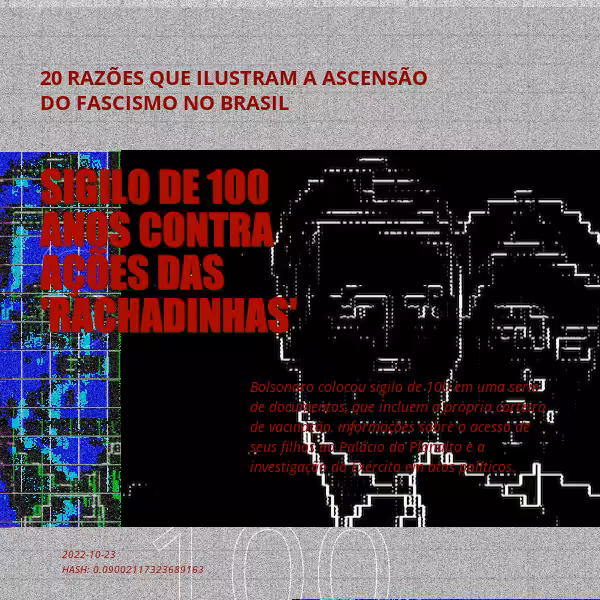 B4D - Brazil4Democracy #5