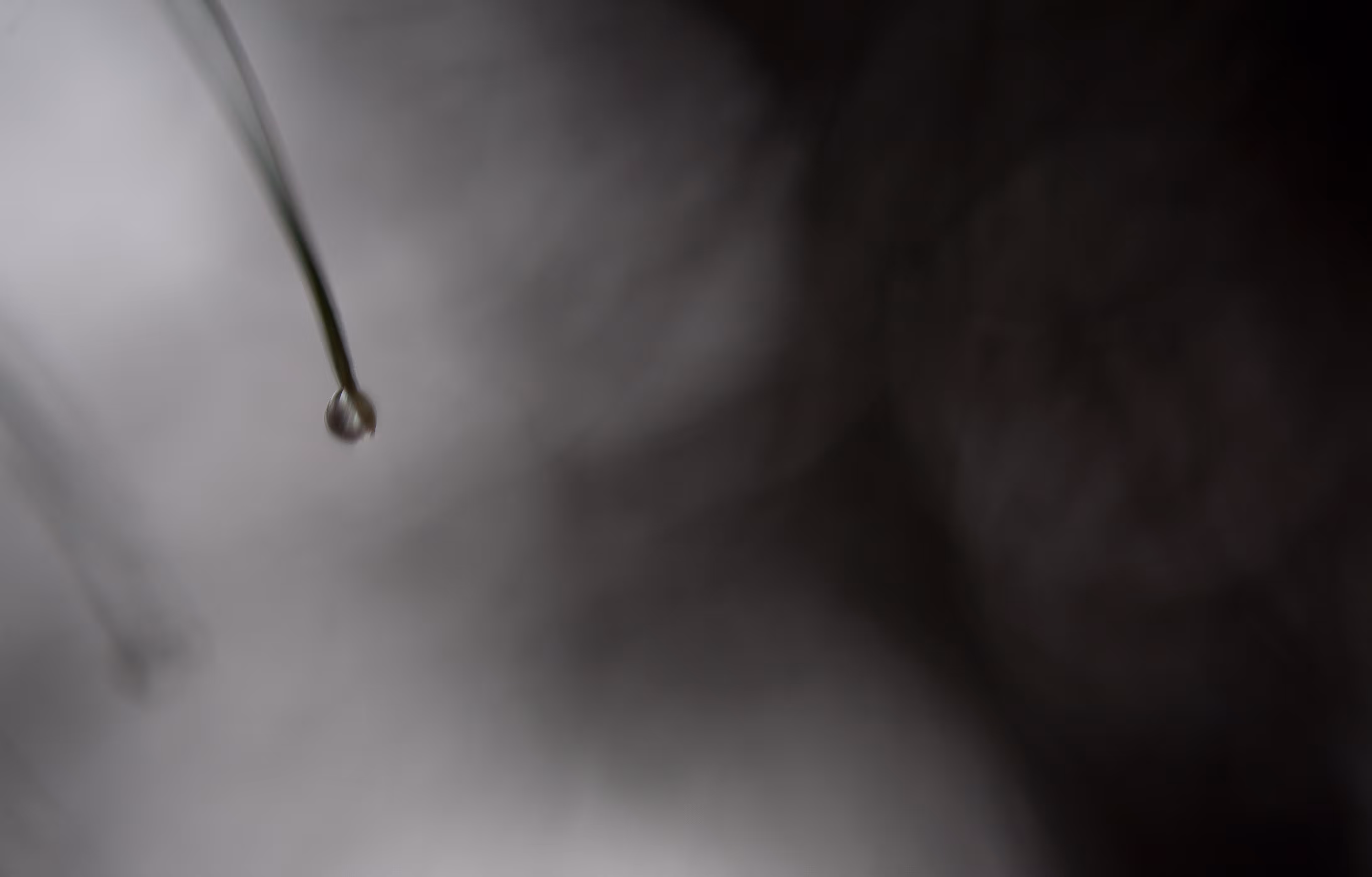 DEW