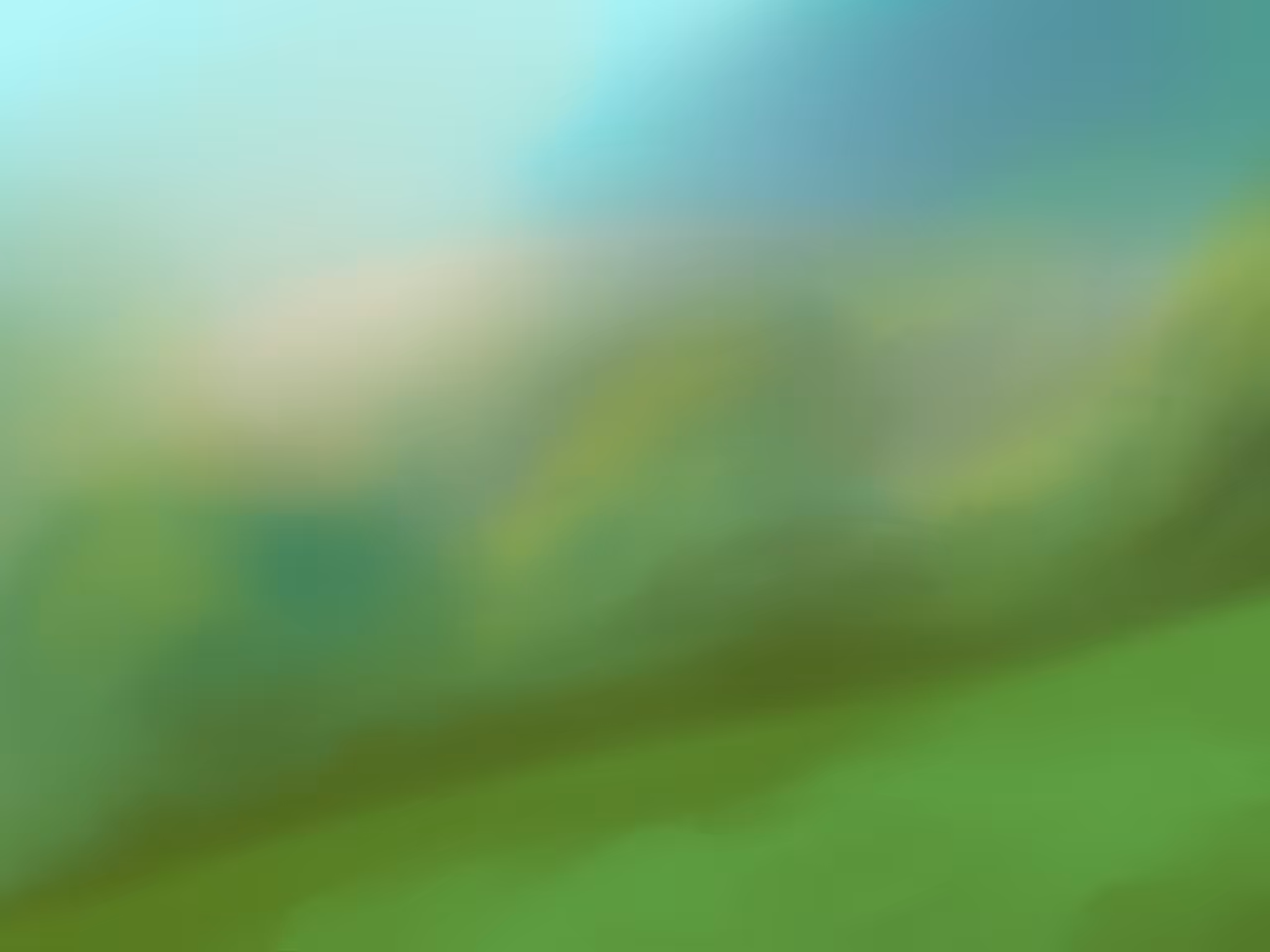 Nature with a brush: Myopia
