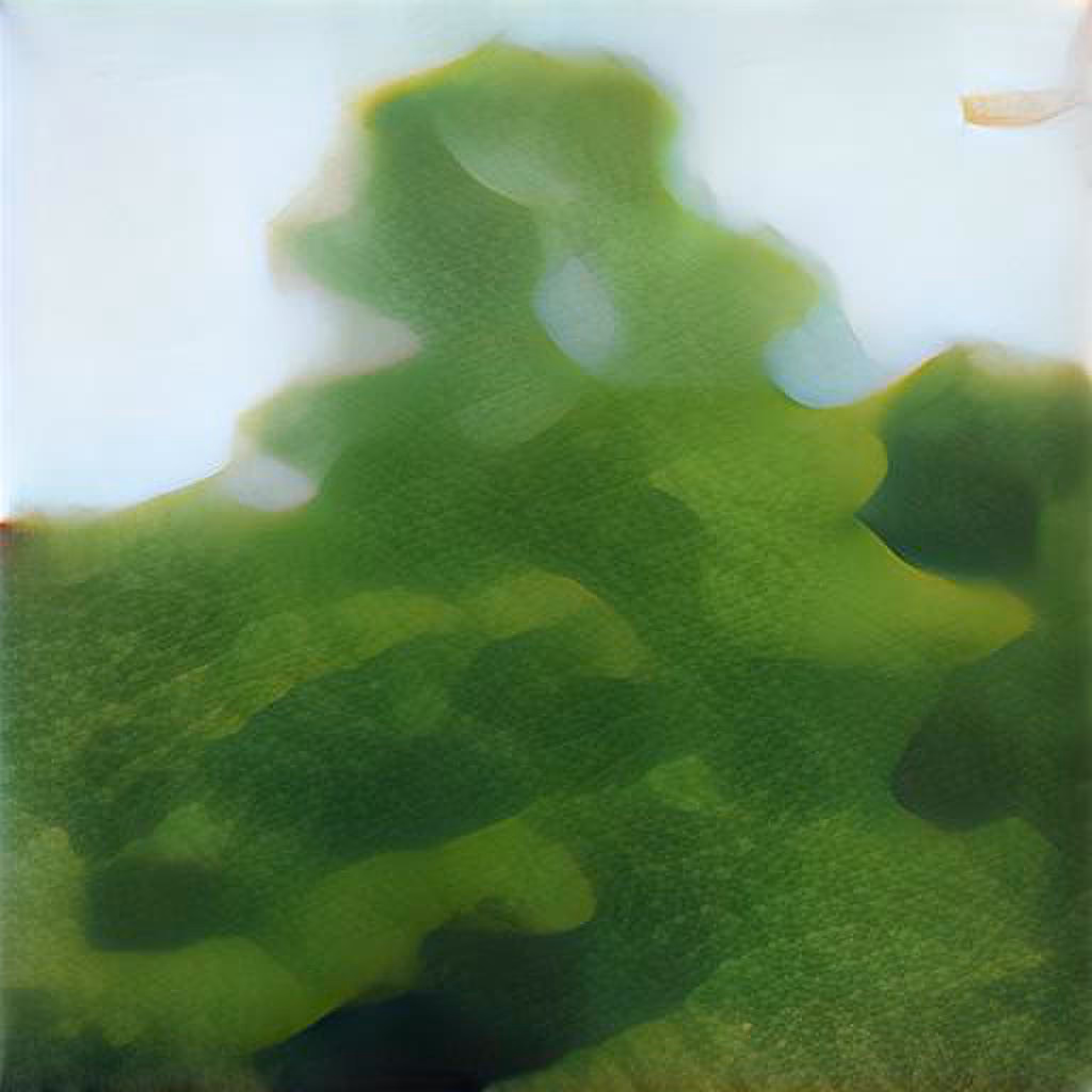 Super Image Series #000